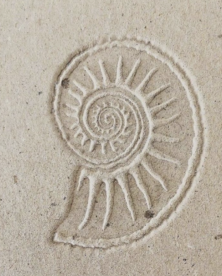 Spiral pattern and radiating lines drawn in sand resembling a nautilus shell.