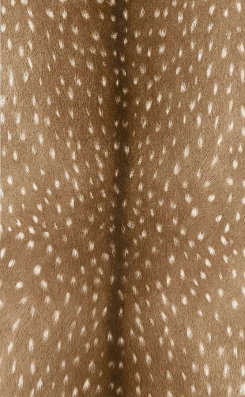 Close-up of brown fabric with white polka dots.