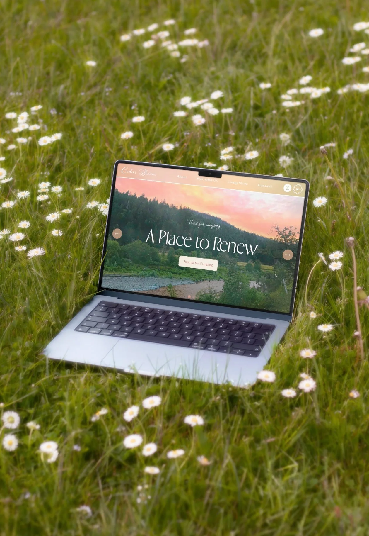 A laptop on a grassy field with small white flowers, displaying a website titled "A Place to Renew," about camping and renewal in nature.