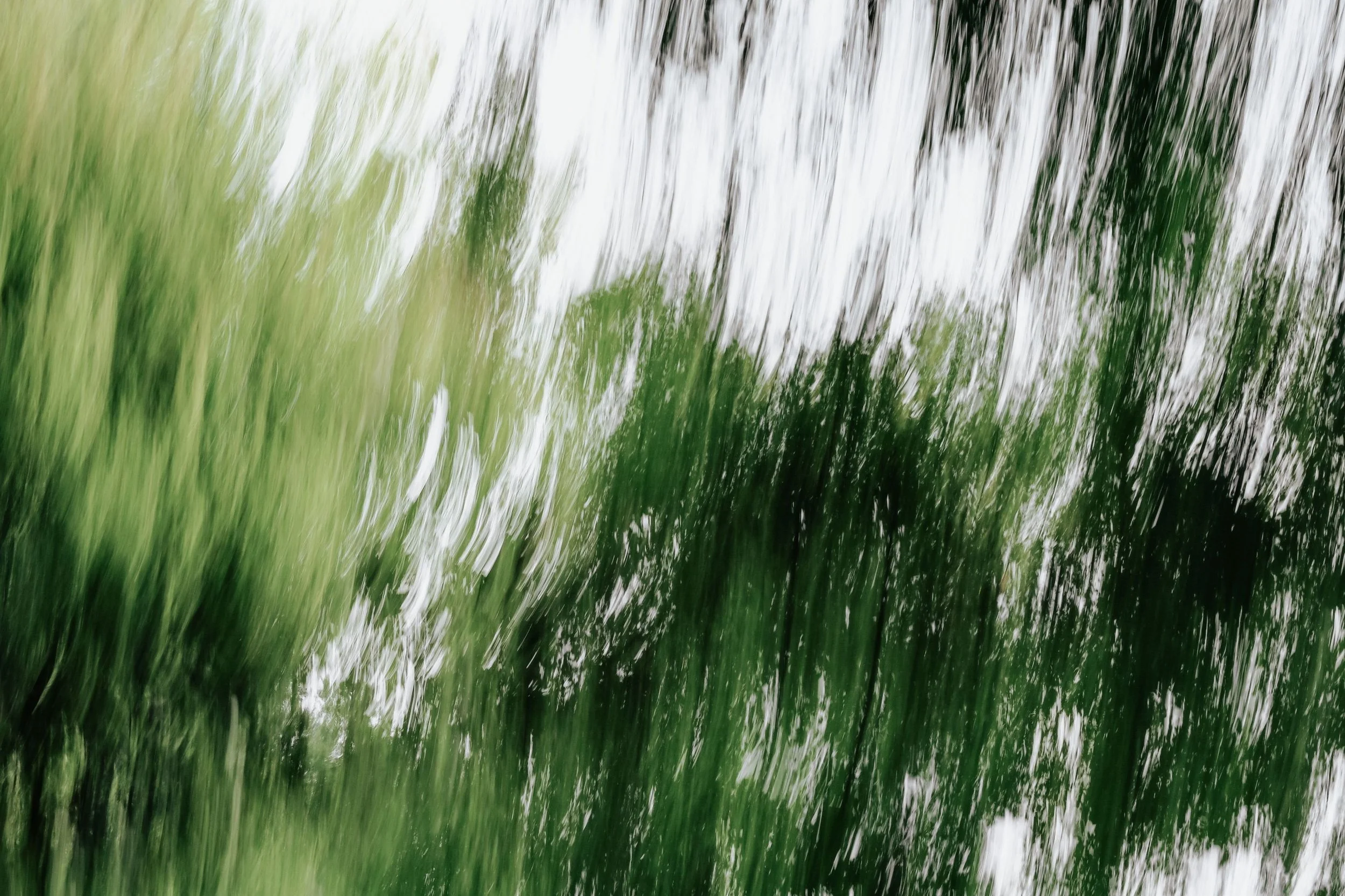 Blurred image of trees reflected on water, creating a mix of green, white, and black hues.