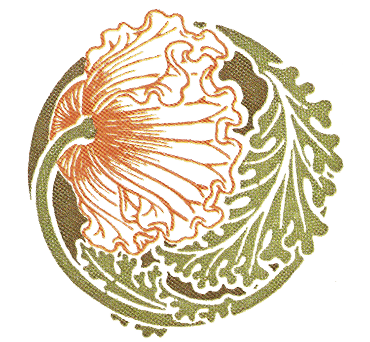 Illustration of a curled green lettuce leaf with orange and brown accents on a black background.