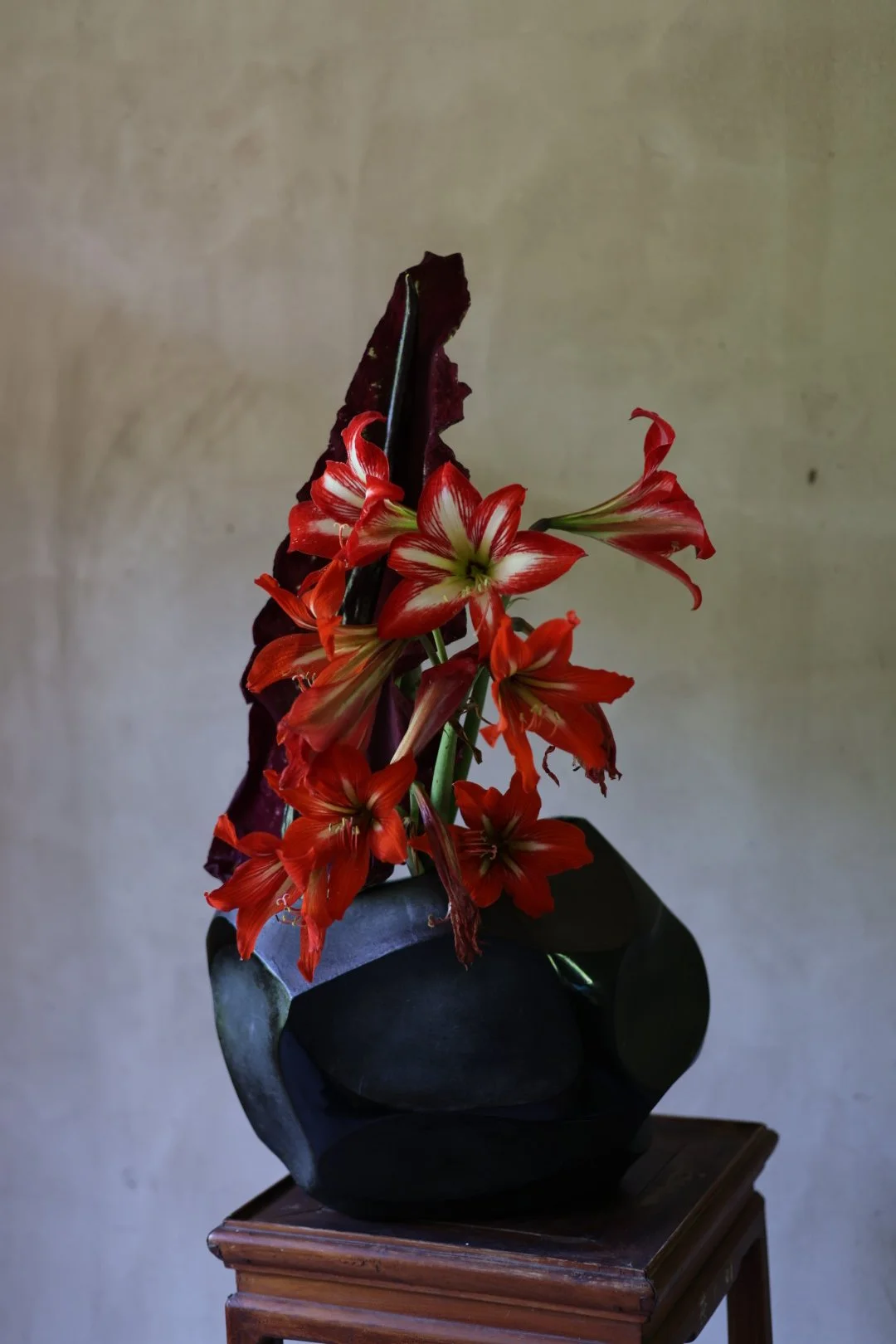 CR5_0534.JPG