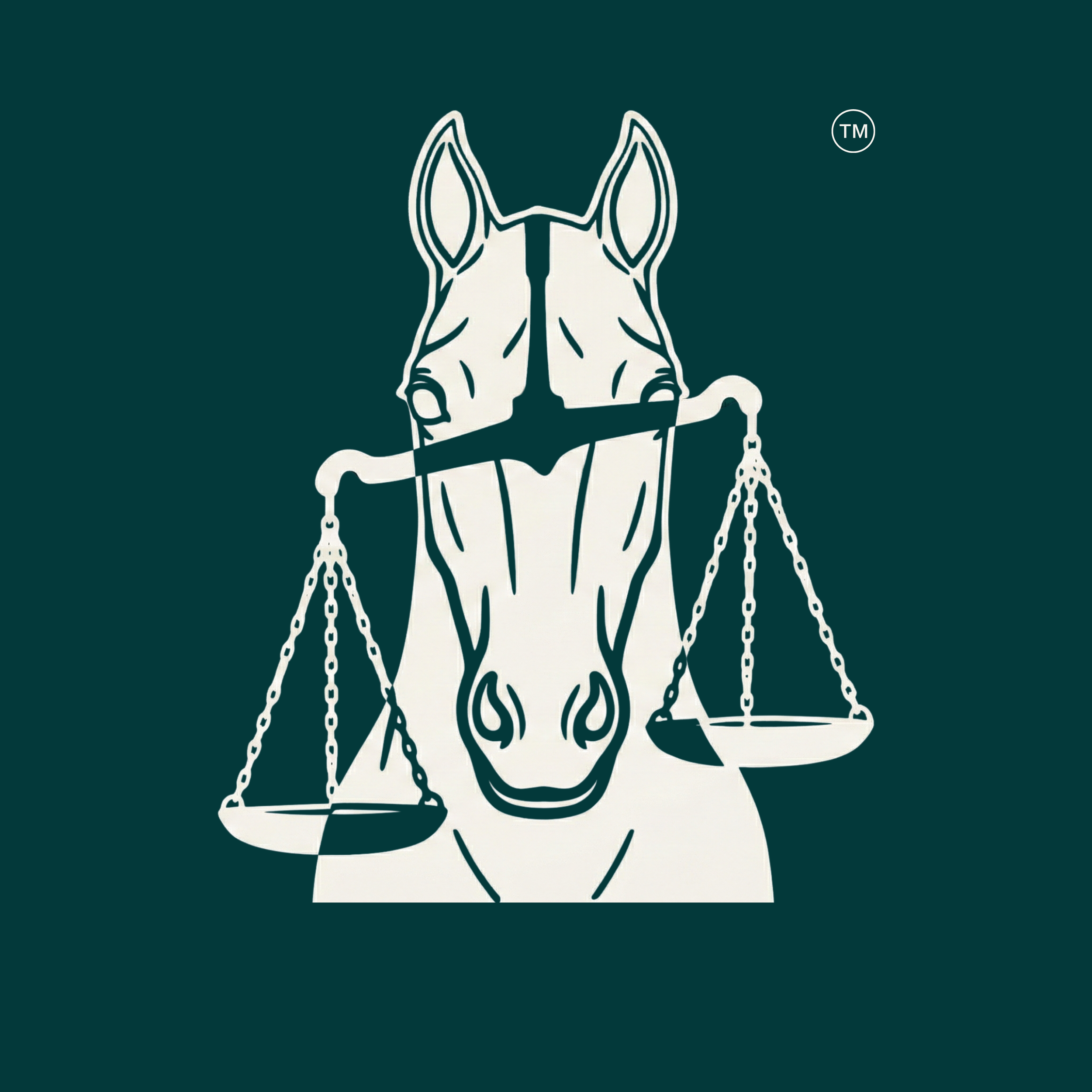 Ocala Lawyer