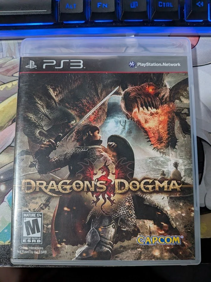 dragons dogma