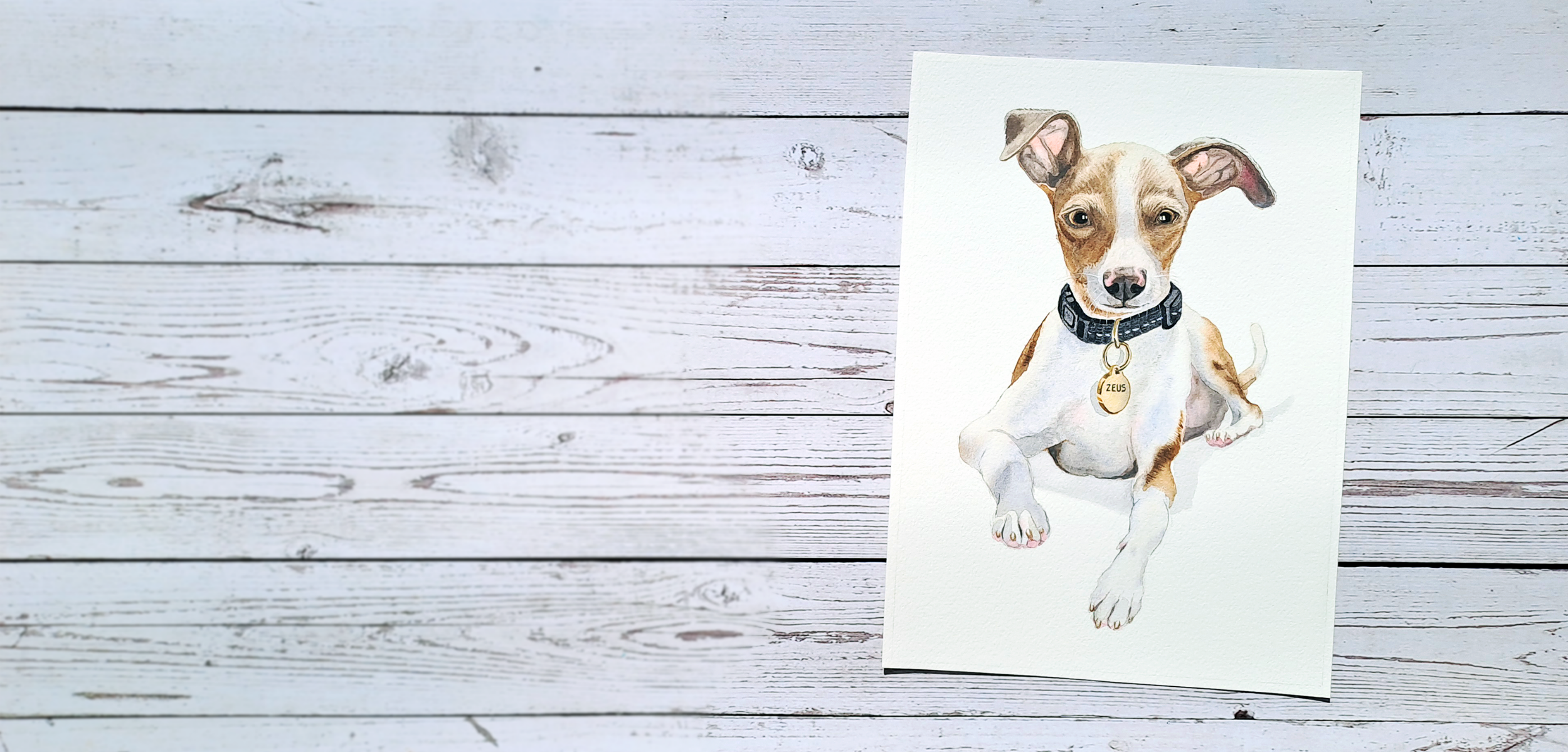 Jemma Newman Watercolour Pet Portraits