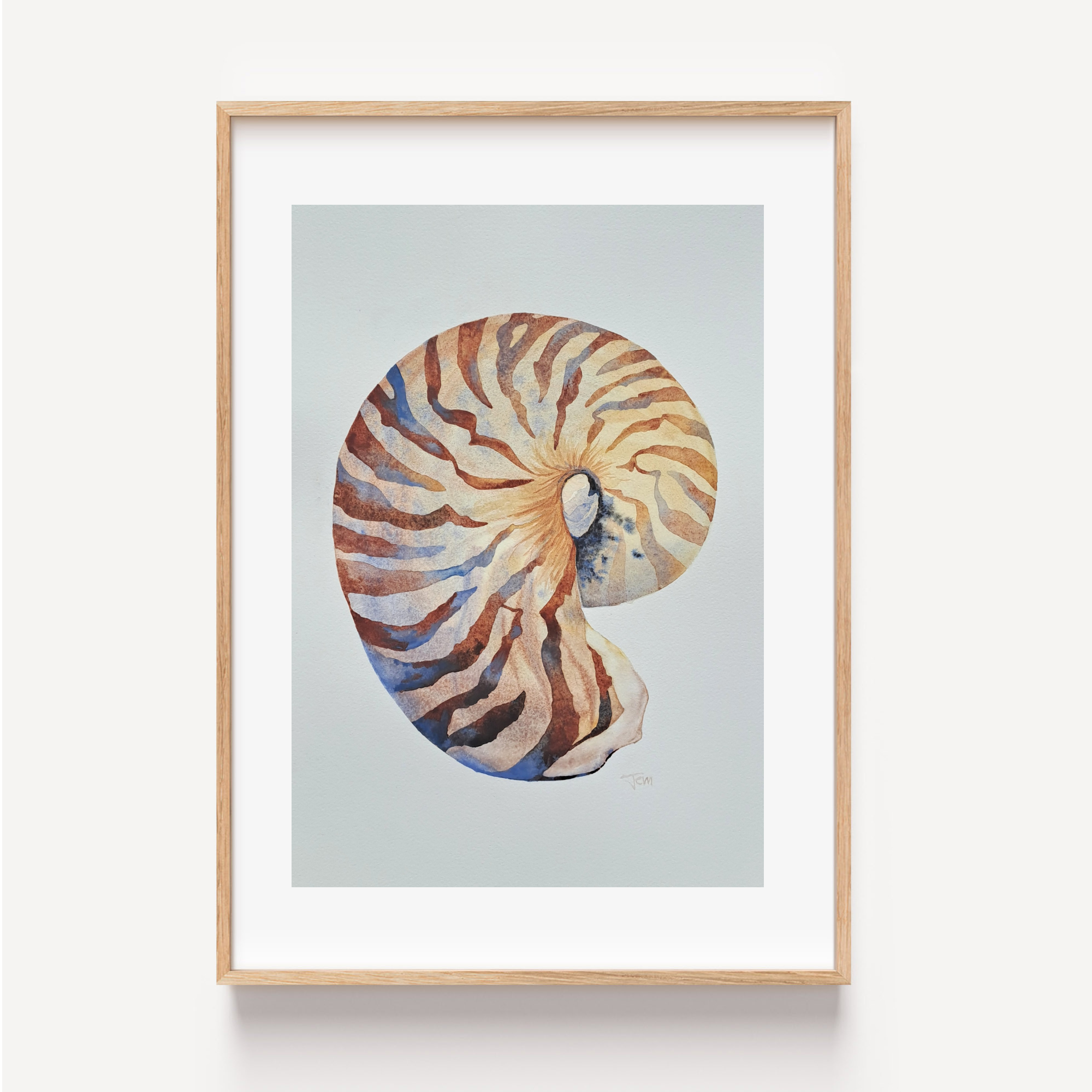 Nautilus Shell Painting by Jemma Newman.png