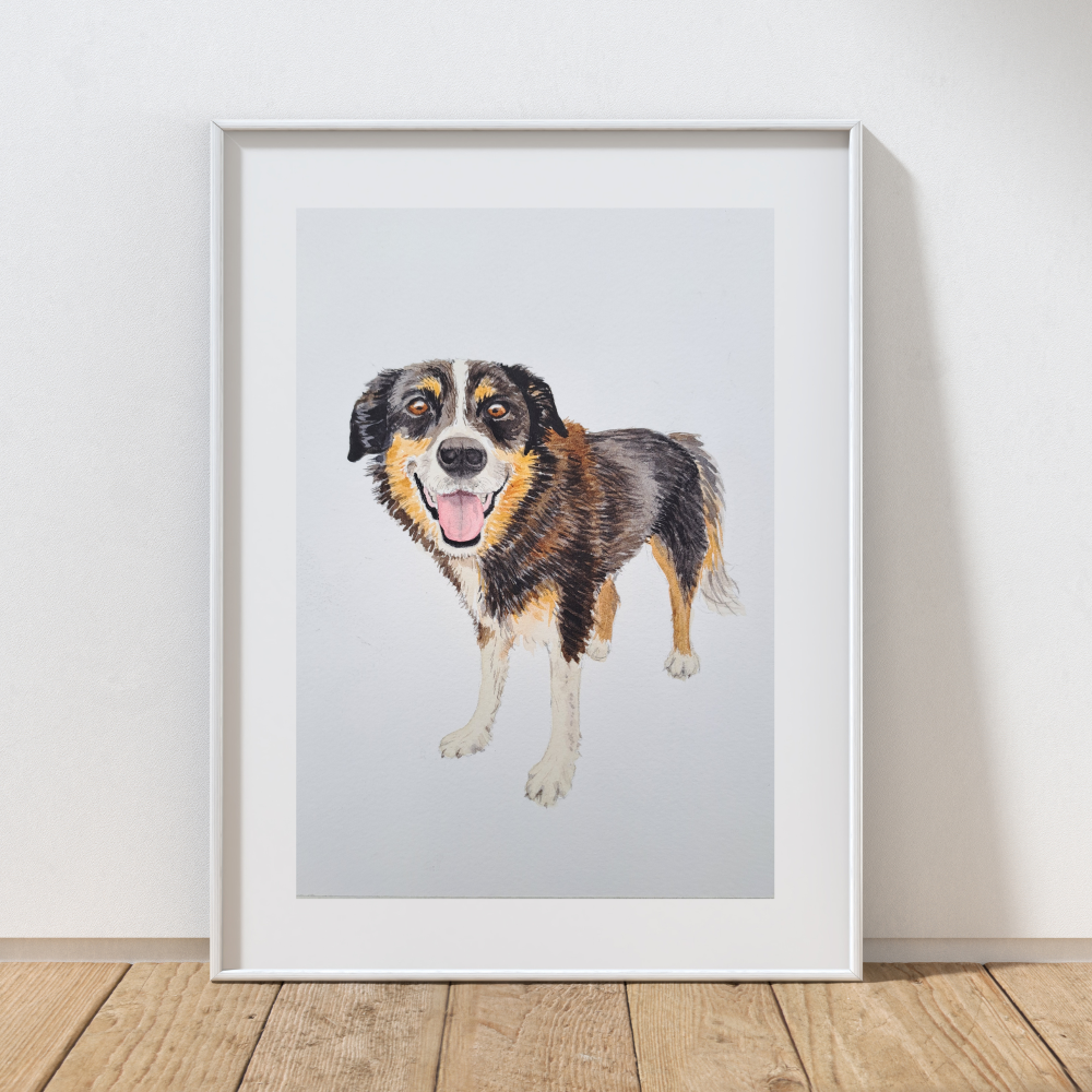 Mini pet portrait 8 Cattle Dog.png