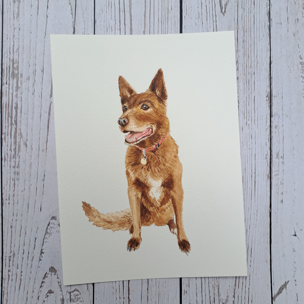 Mini pet portrait 3 Kelpie.png