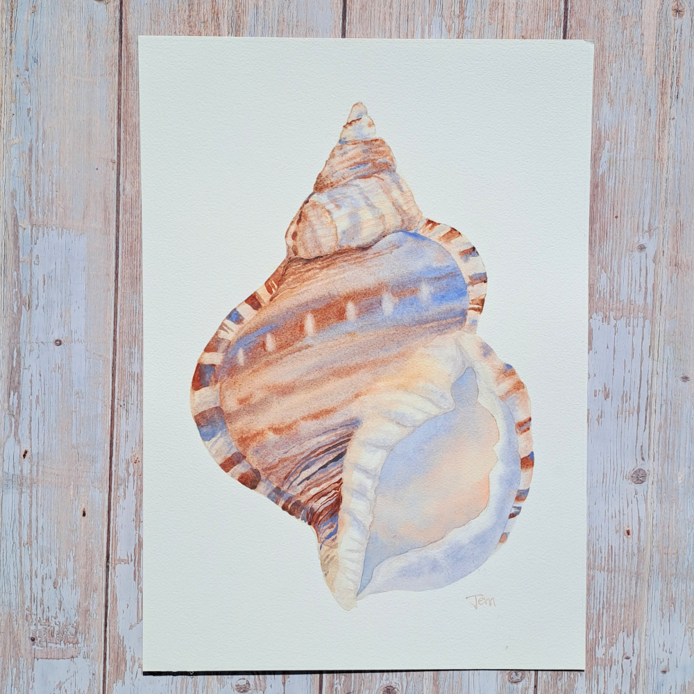 Shell Dreaming 2.png