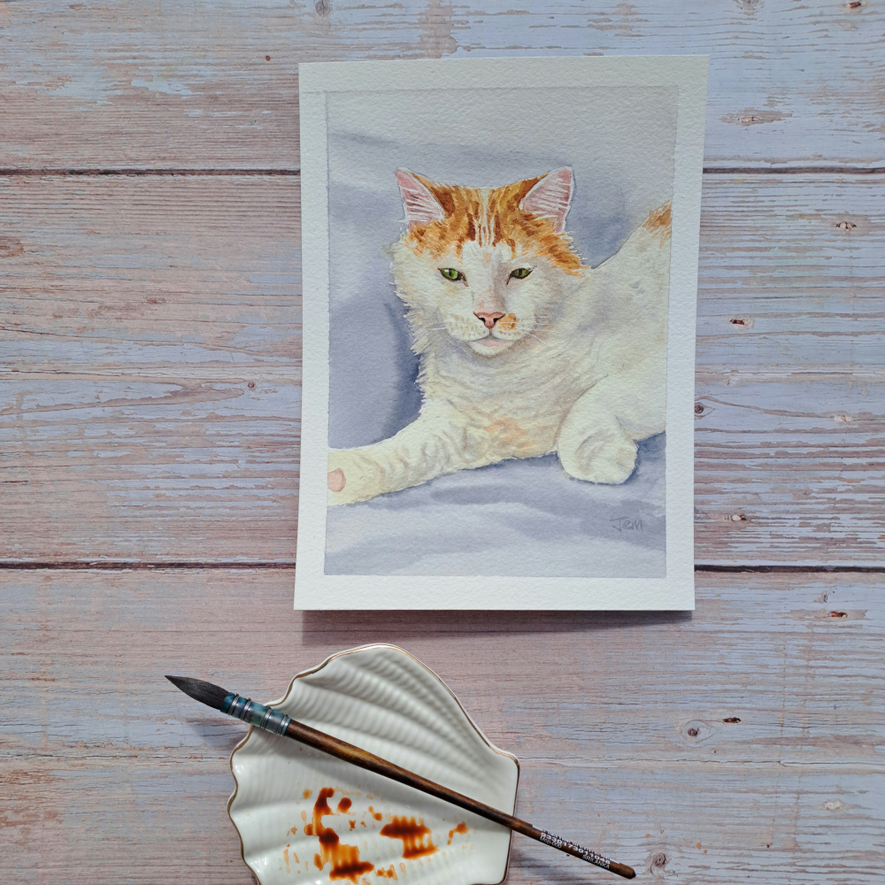 Mini pet portrait 1 Cat.png