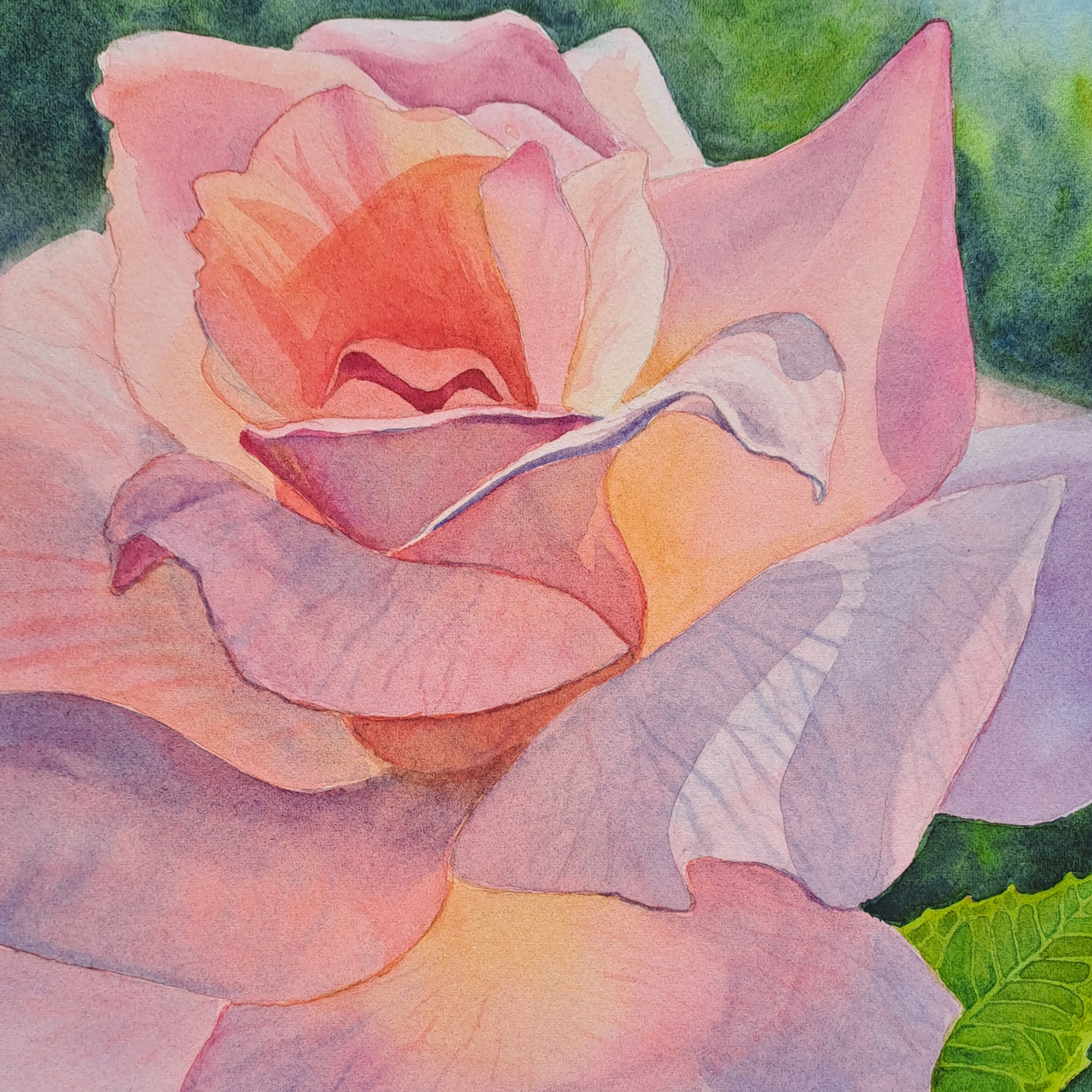 Rose detail.png