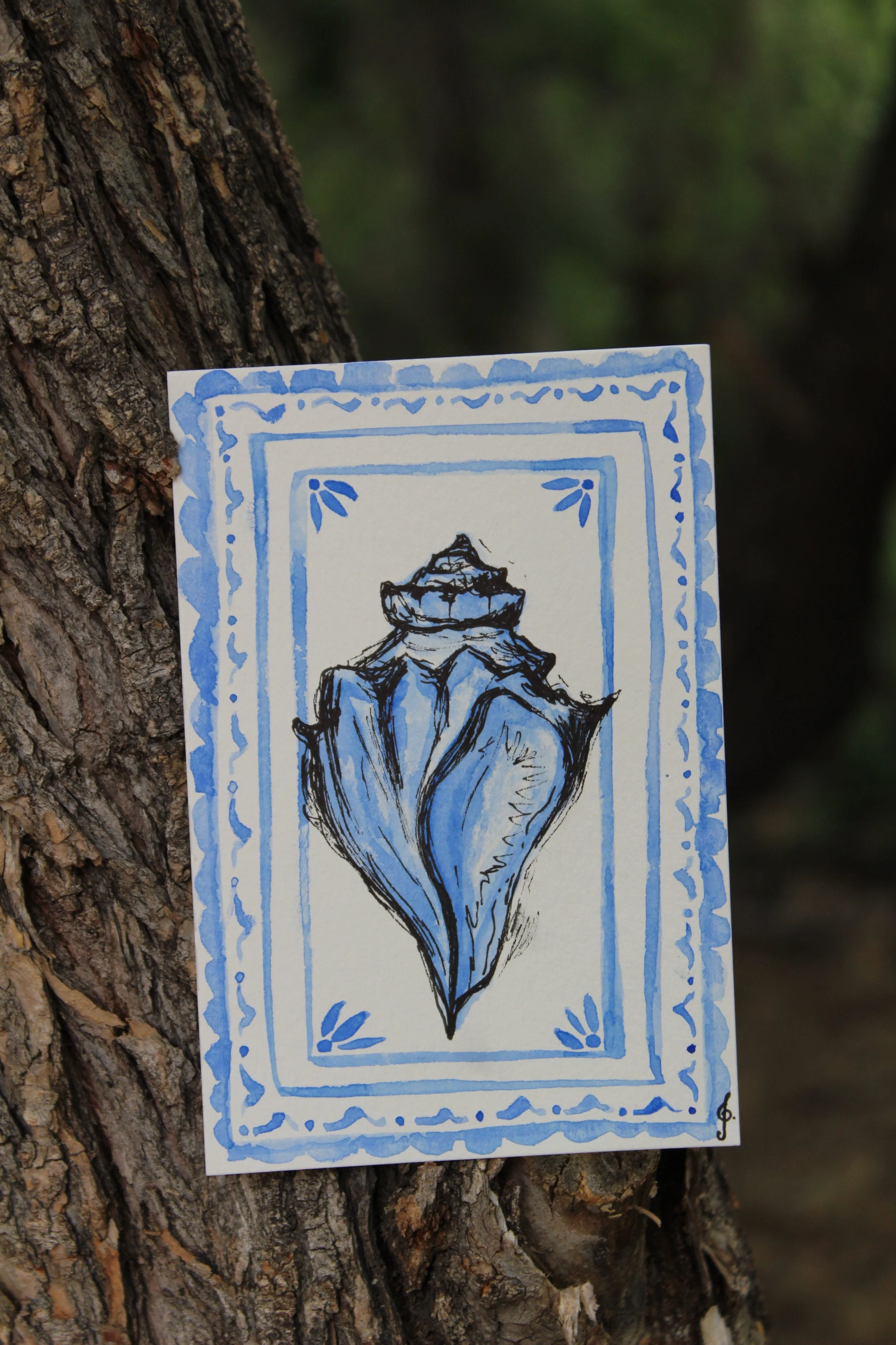 Seaside Shell Postcards