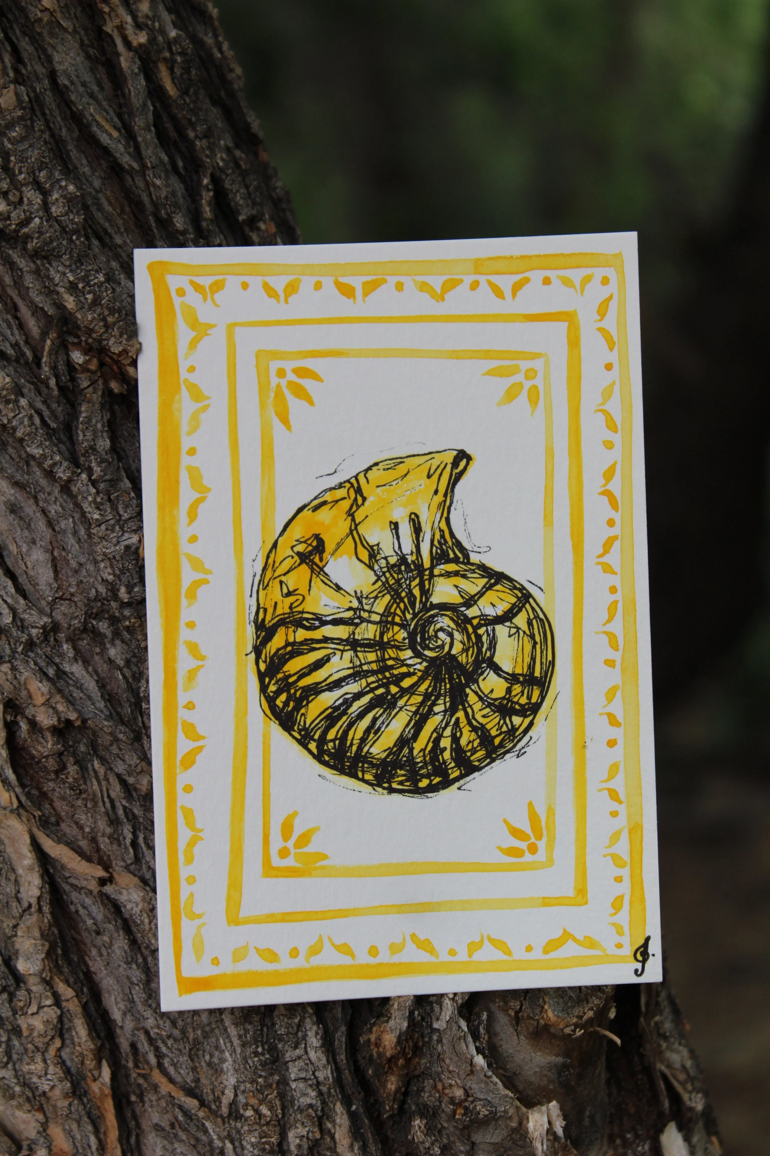 Seaside Shell Postcards