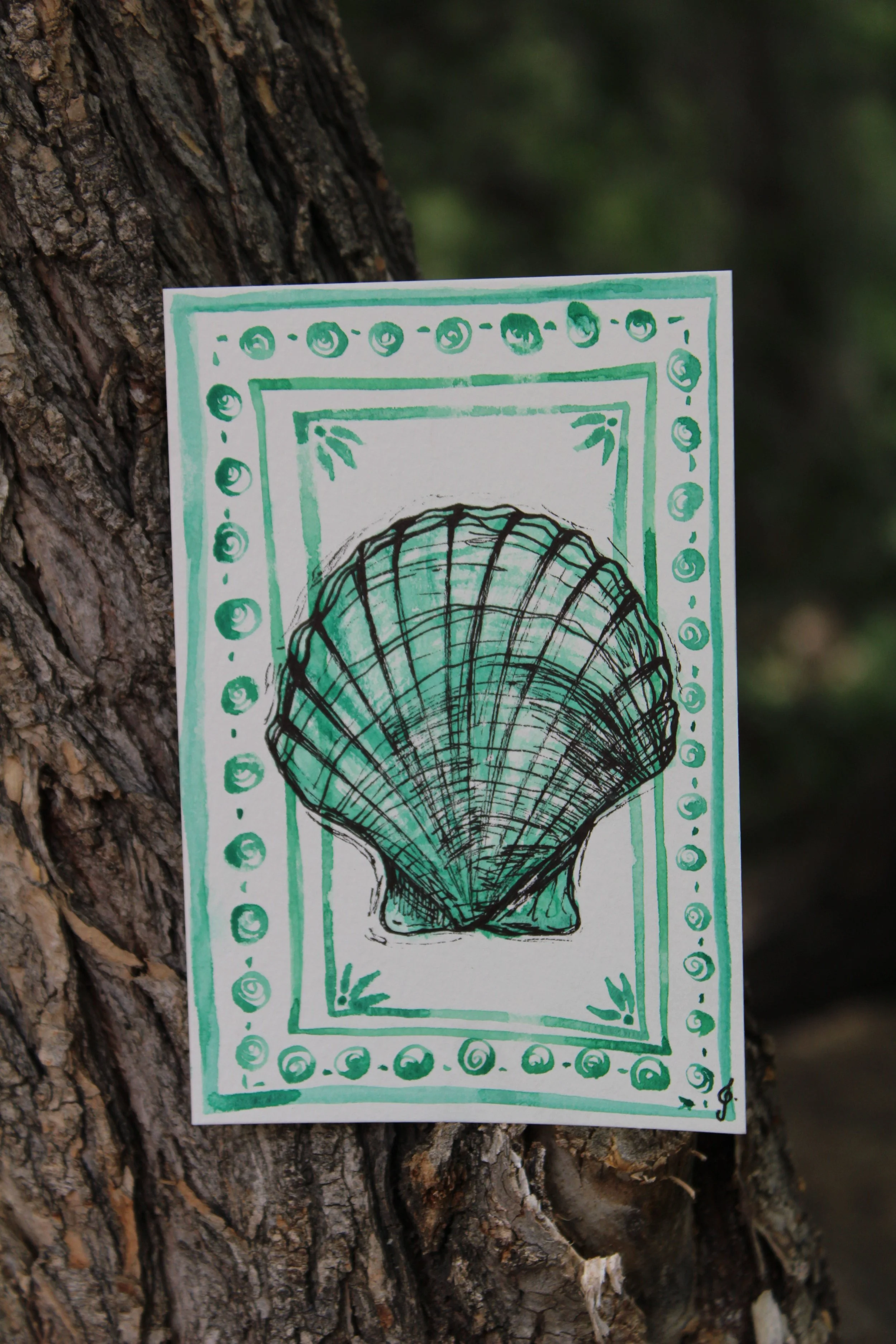 Seaside Shell Postcards