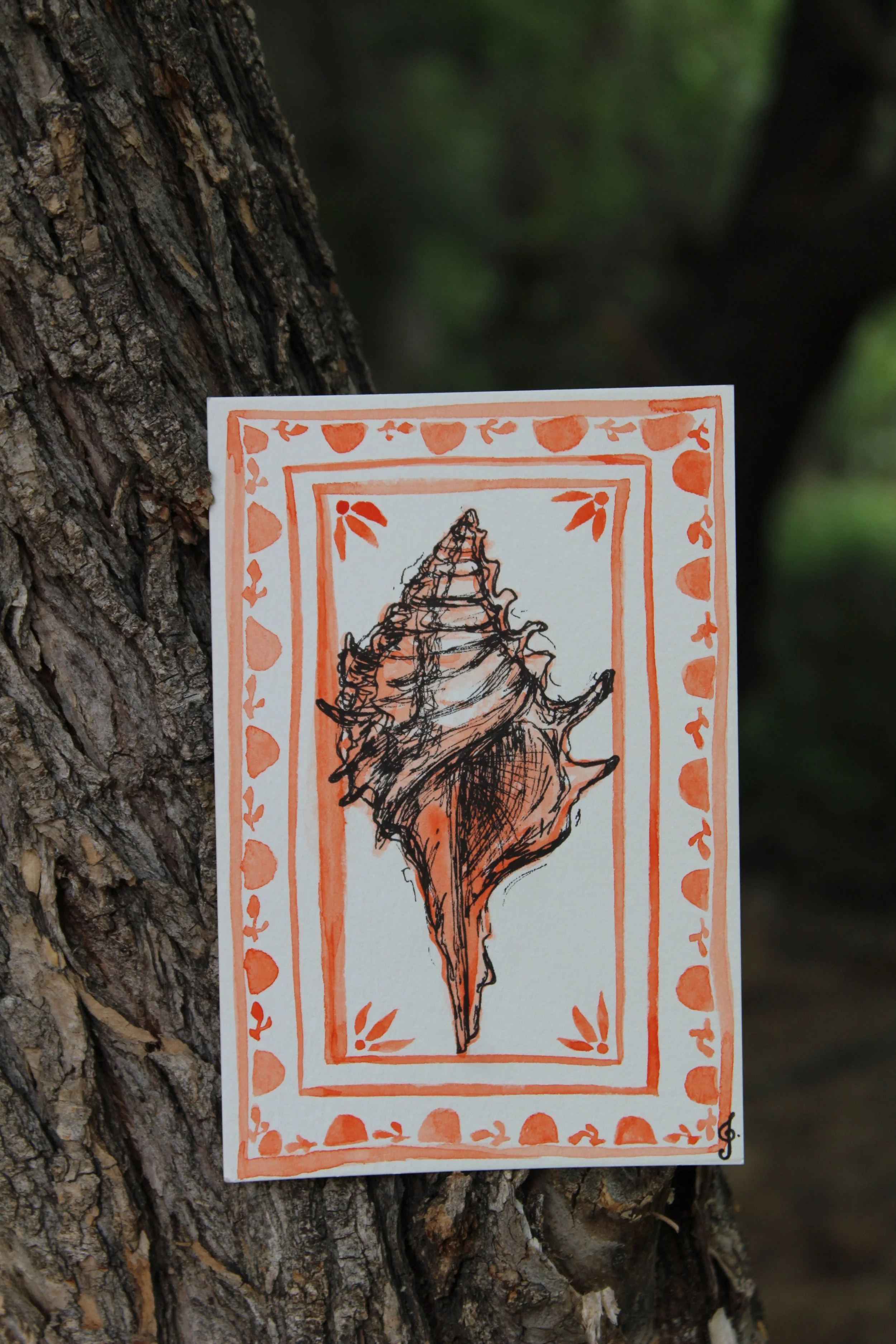 Seaside Shell Postcards