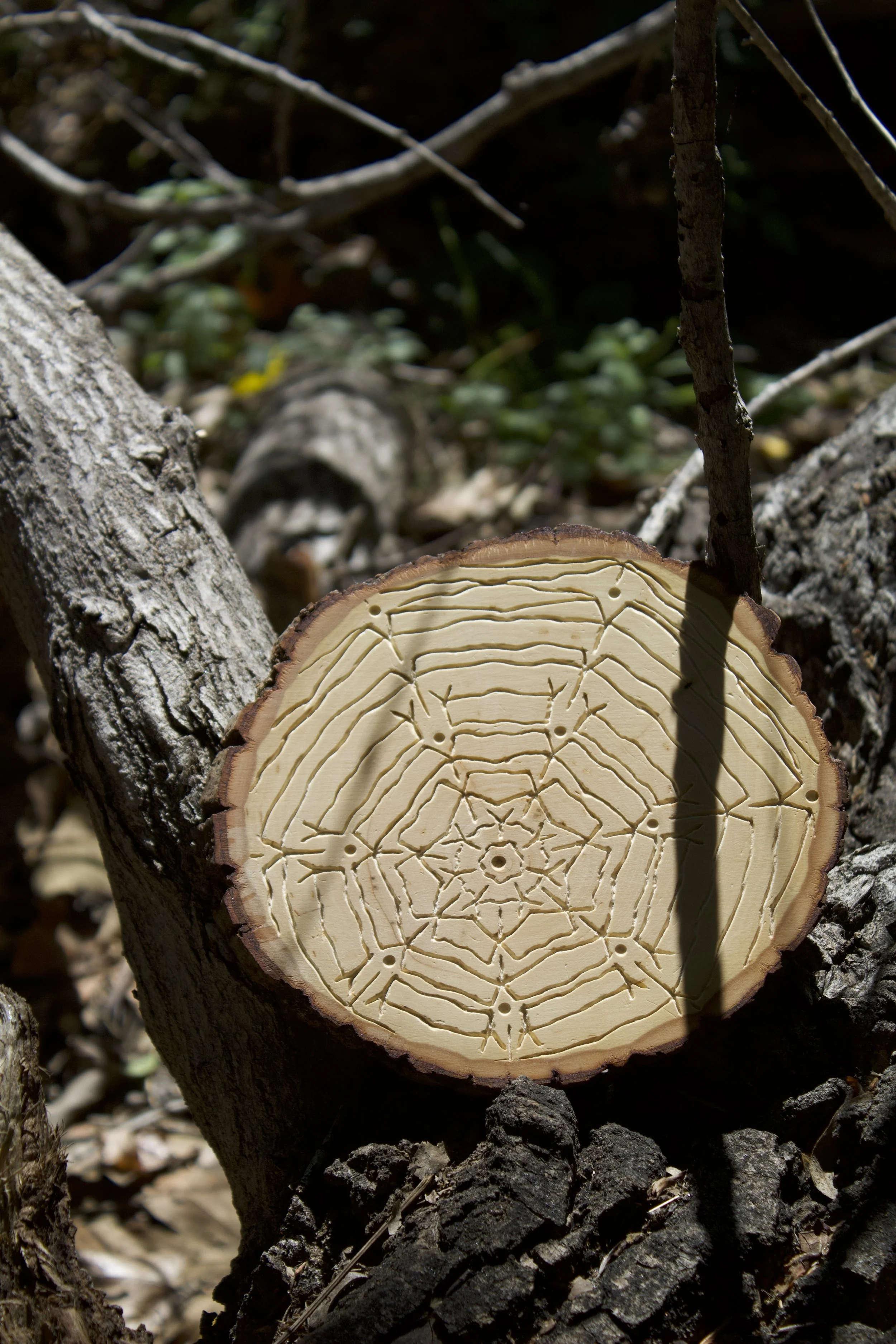 Wood Mandala 3.jpg