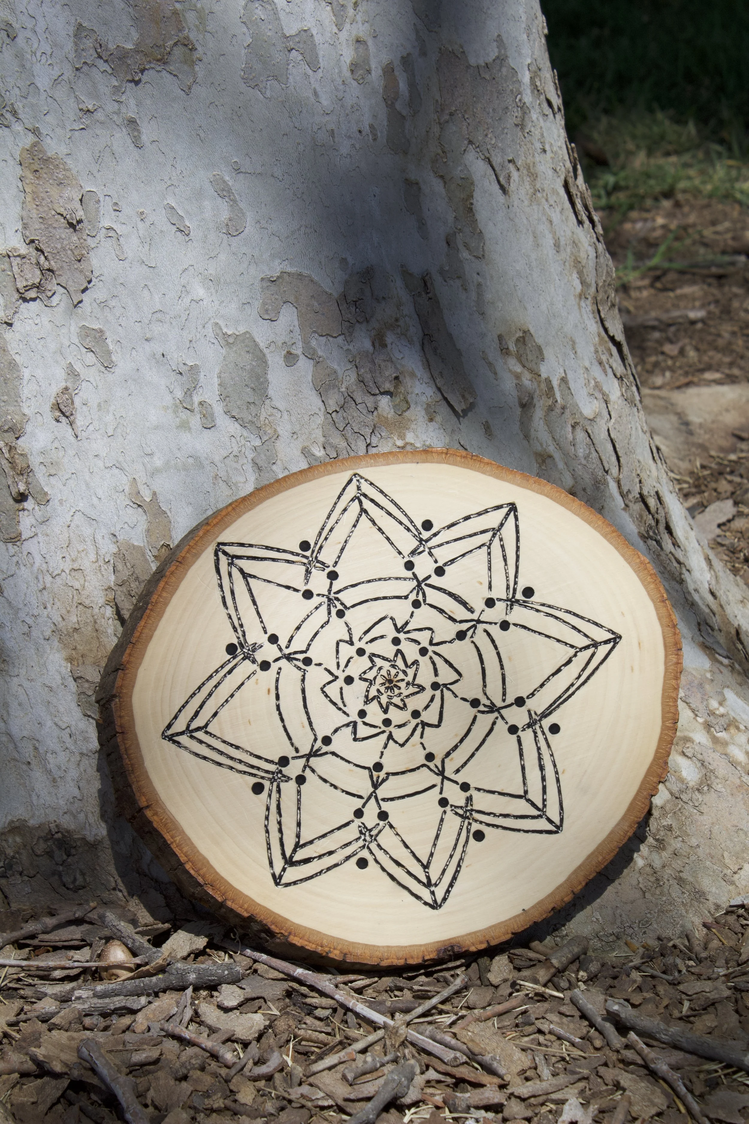 Basswood Mandala 2.jpg