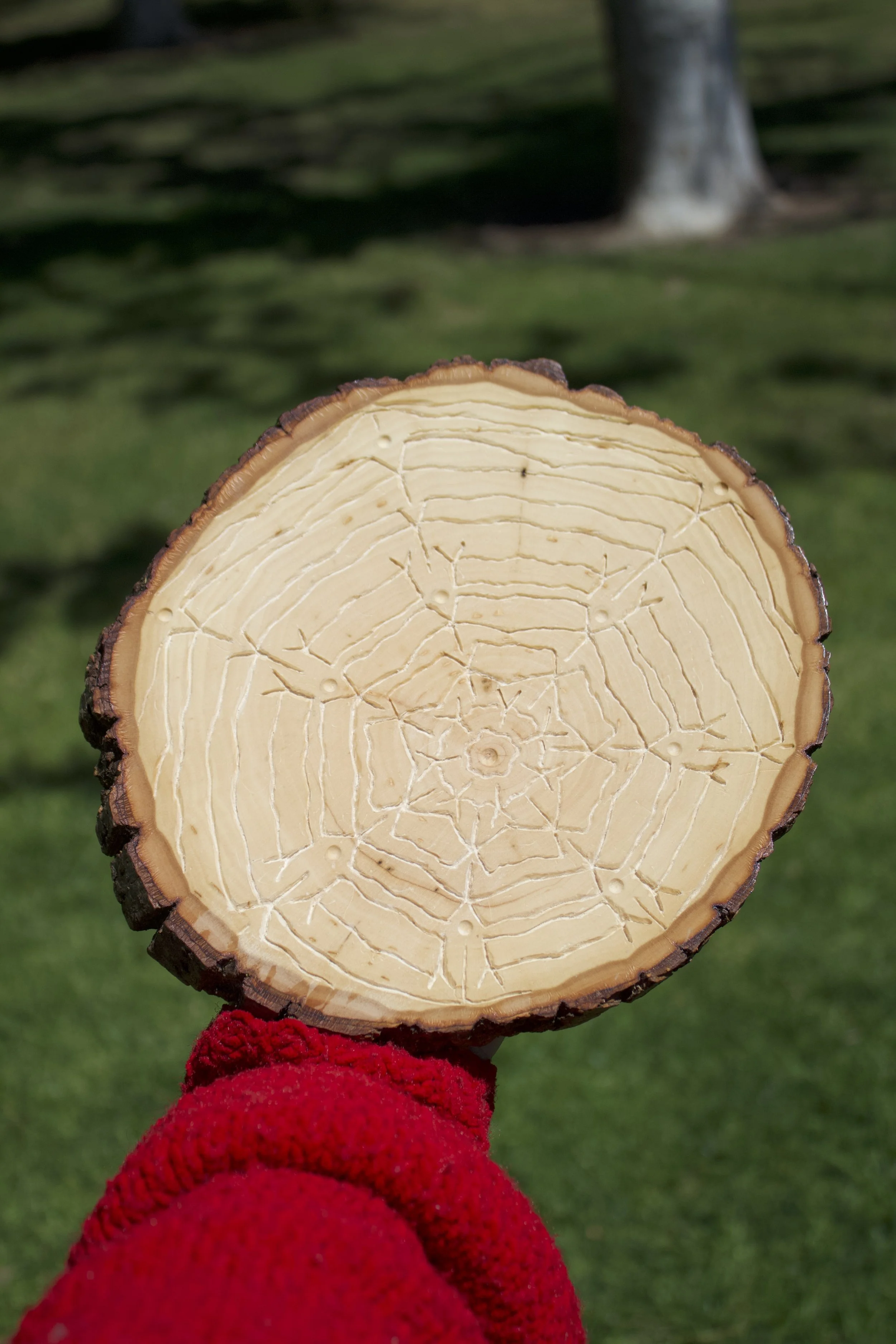 Wood Mandala 3.2.jpg