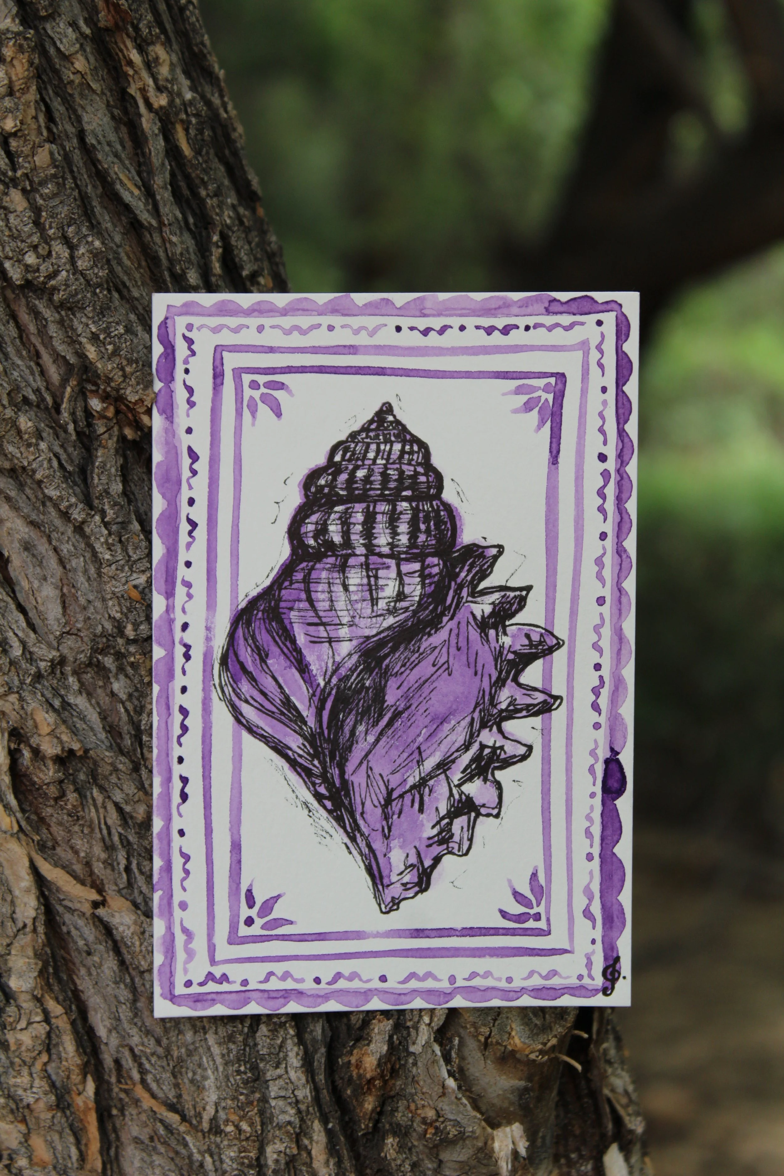 Seaside Shell Postcards