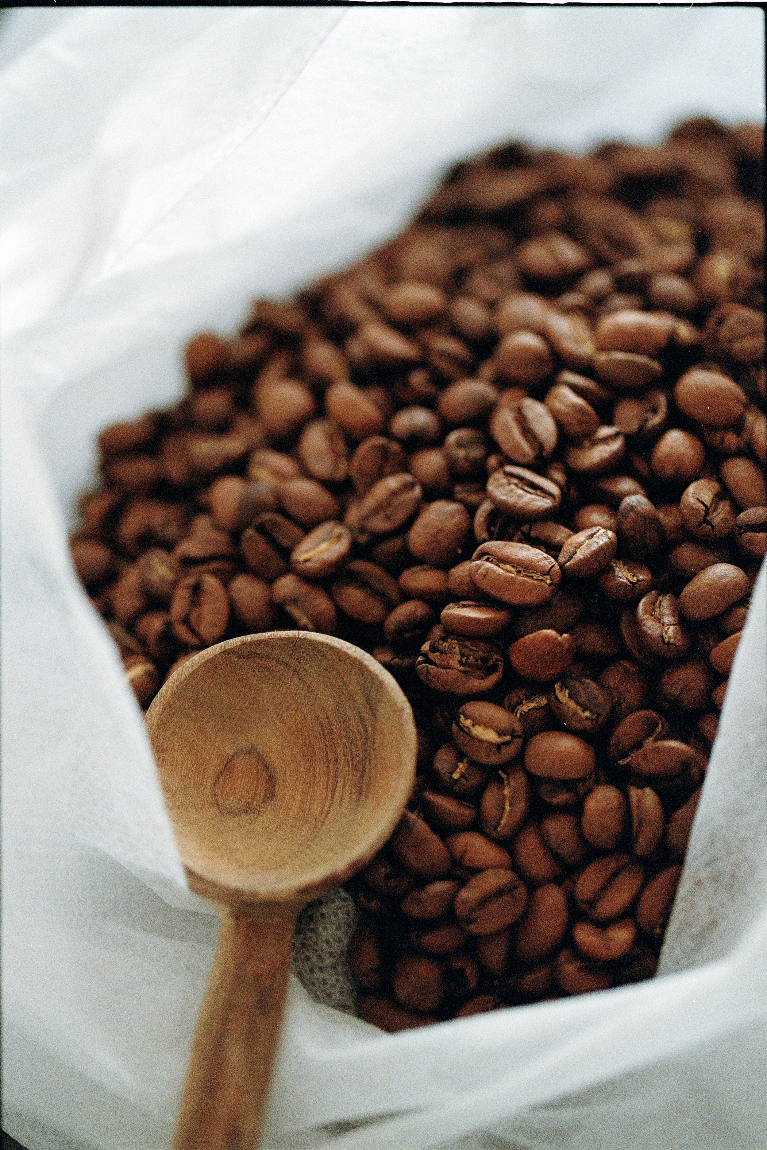 nilecoffeeclub-2.jpg