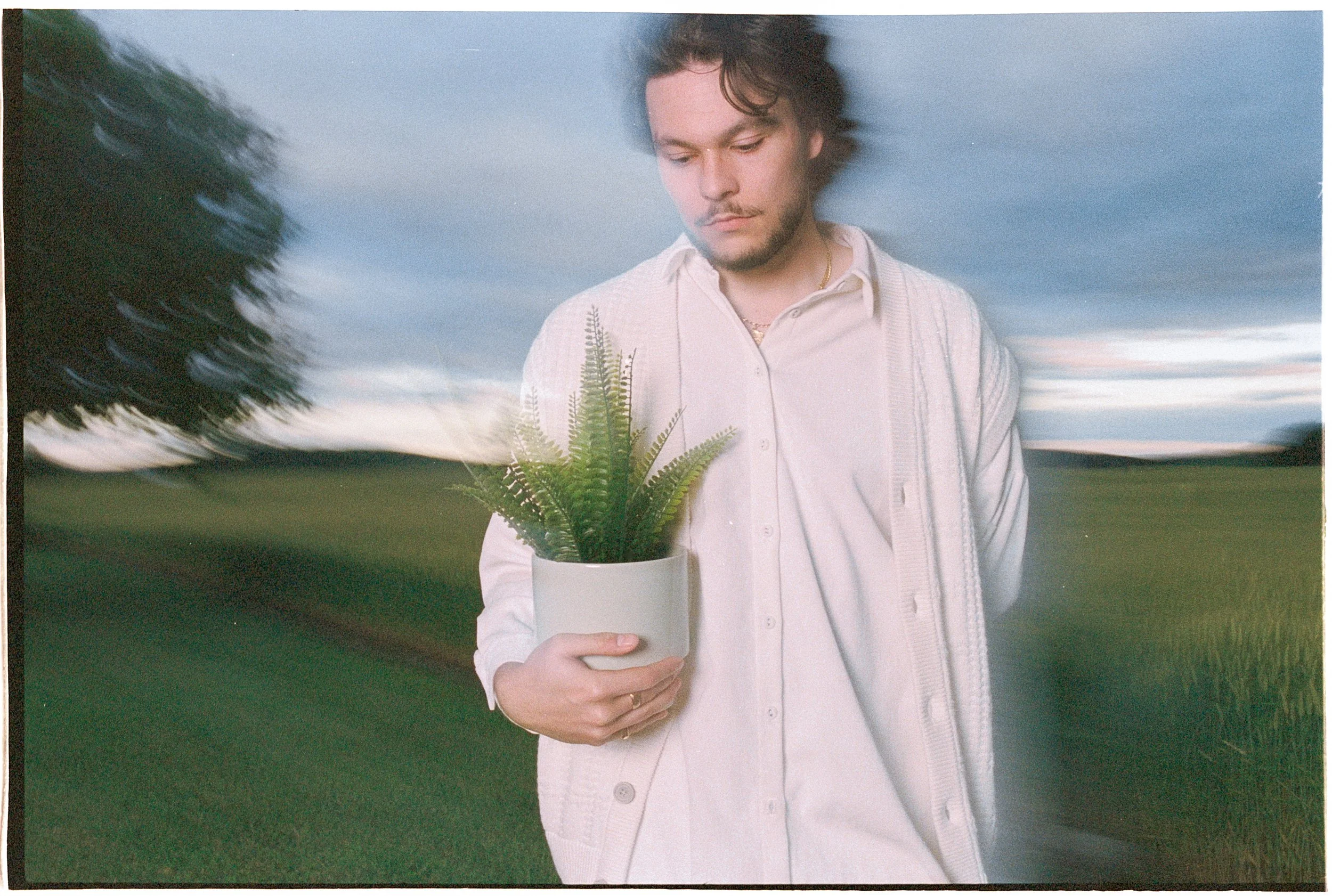 FAKE PLANTS-28.jpg