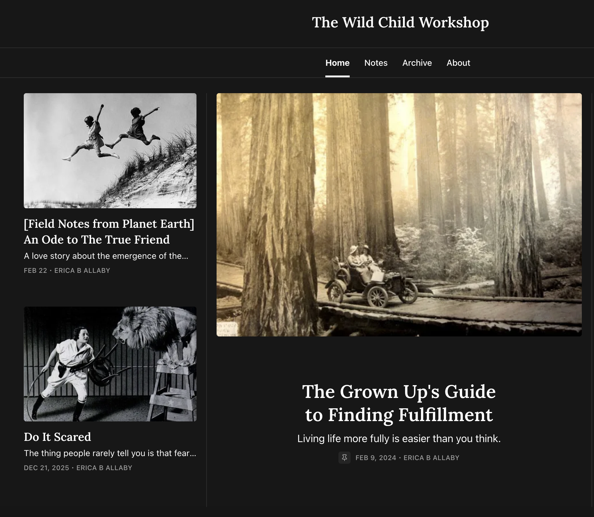 The Wild Child Workshop