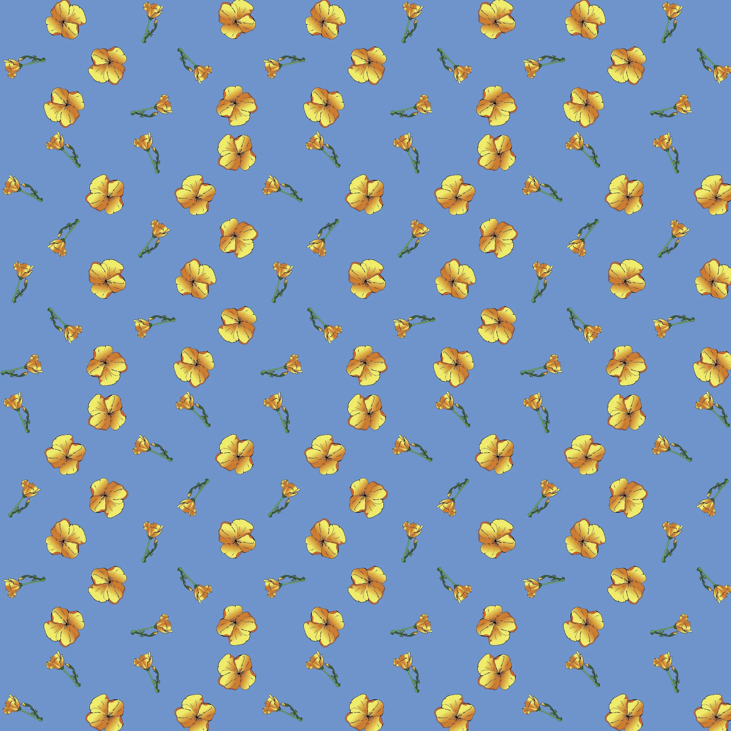 California Poppy.jpg