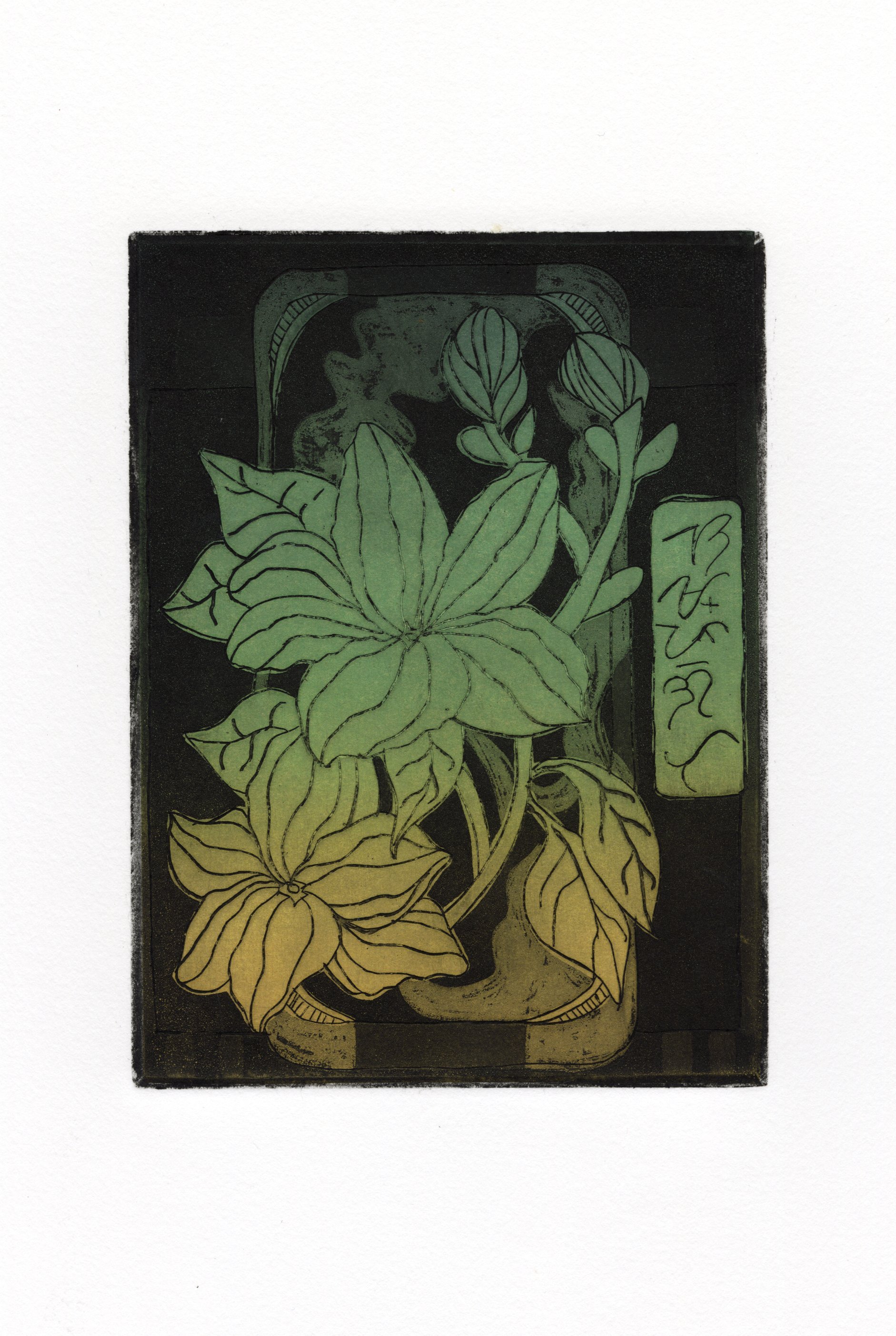 Scan0003.jpg