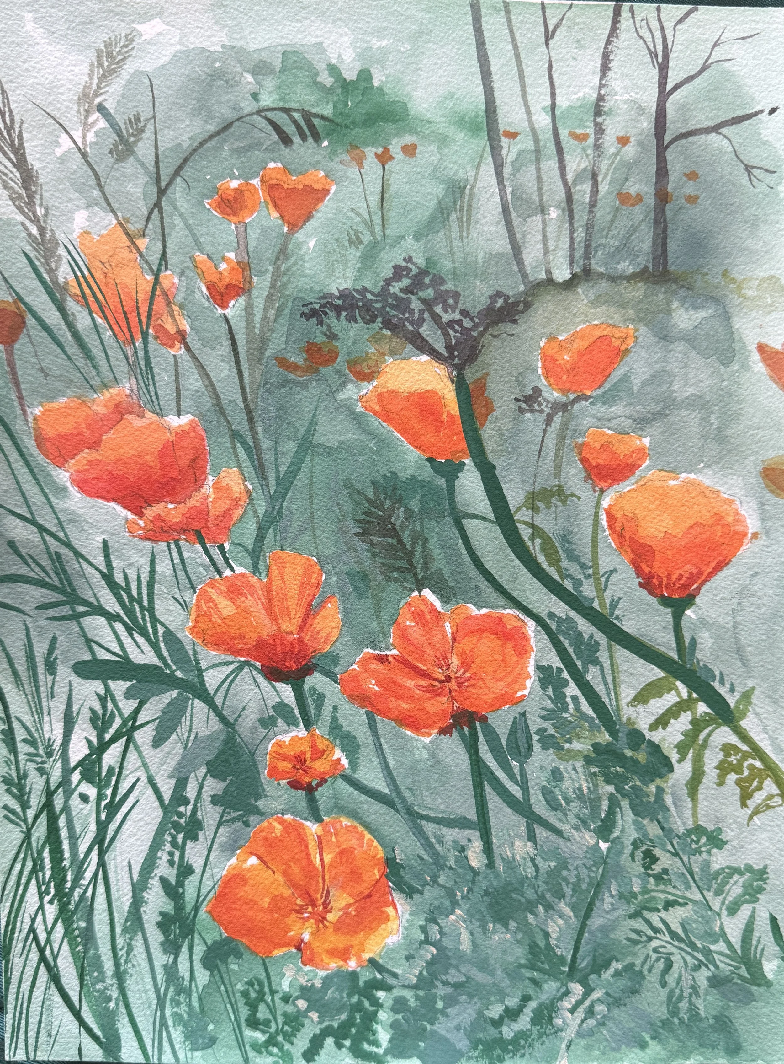 California Poppy Field