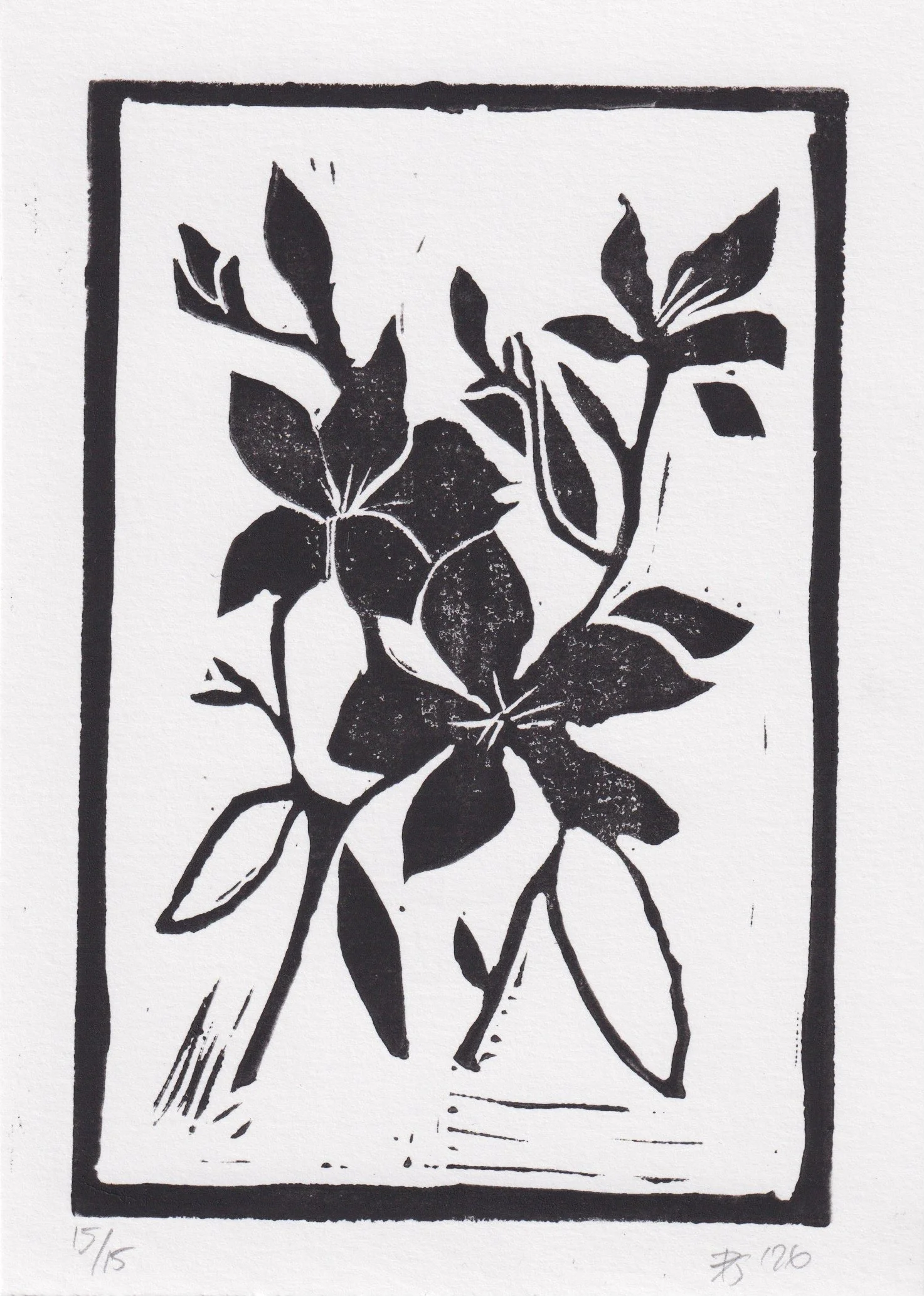 Scan 1.jpeg
