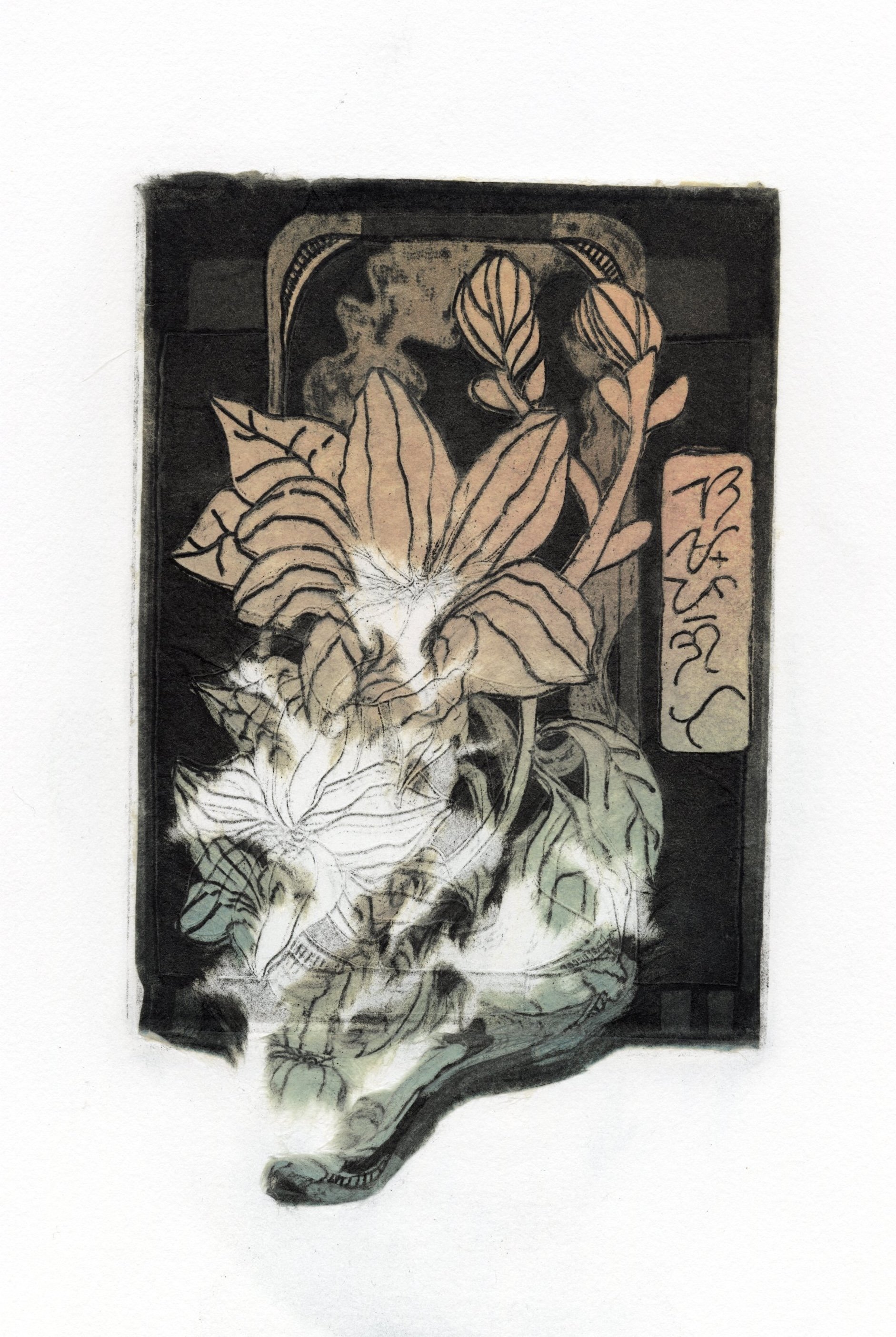 Scan0002.jpg