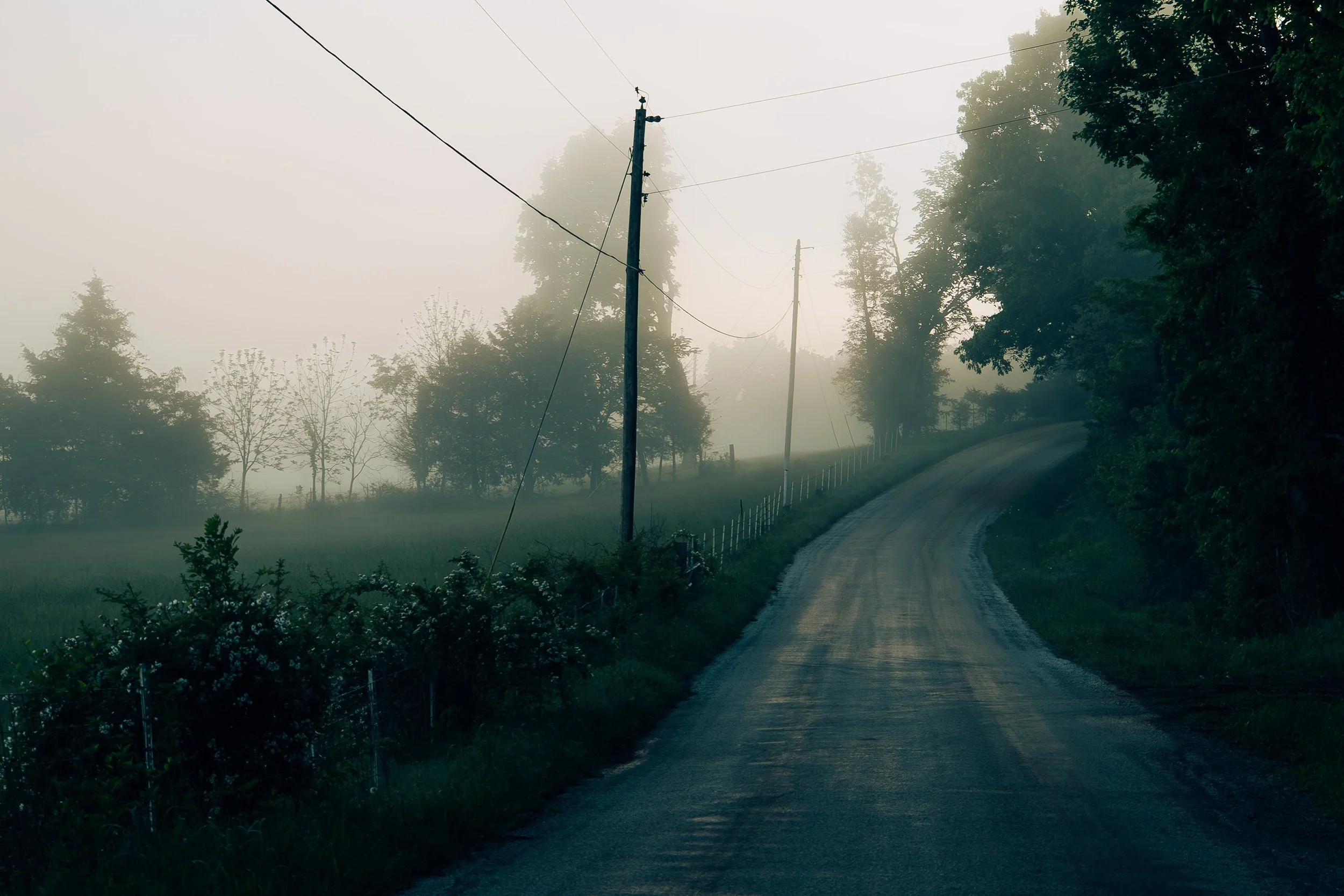 Foggy_Road_5.jpg
