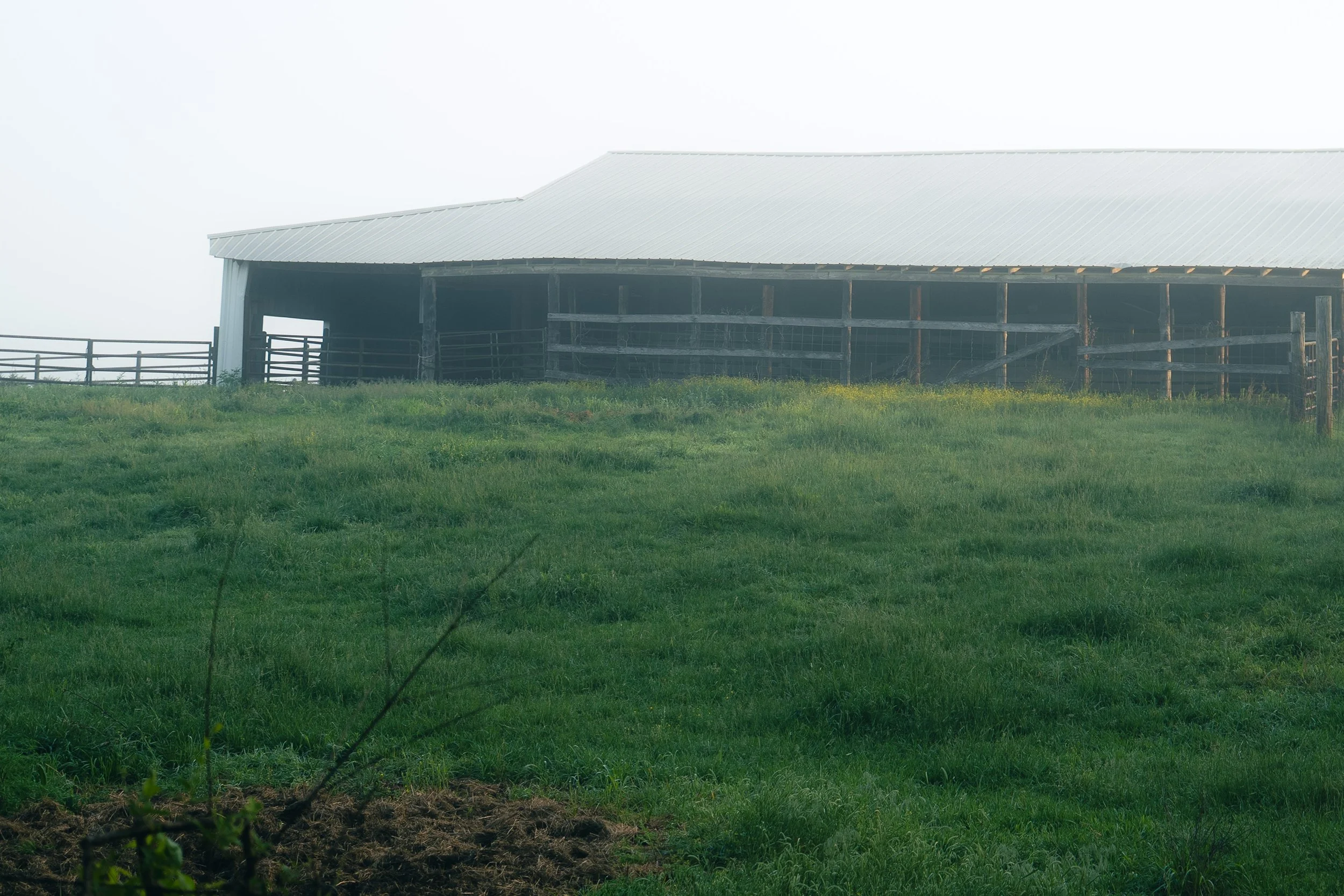 Barn_4.jpg