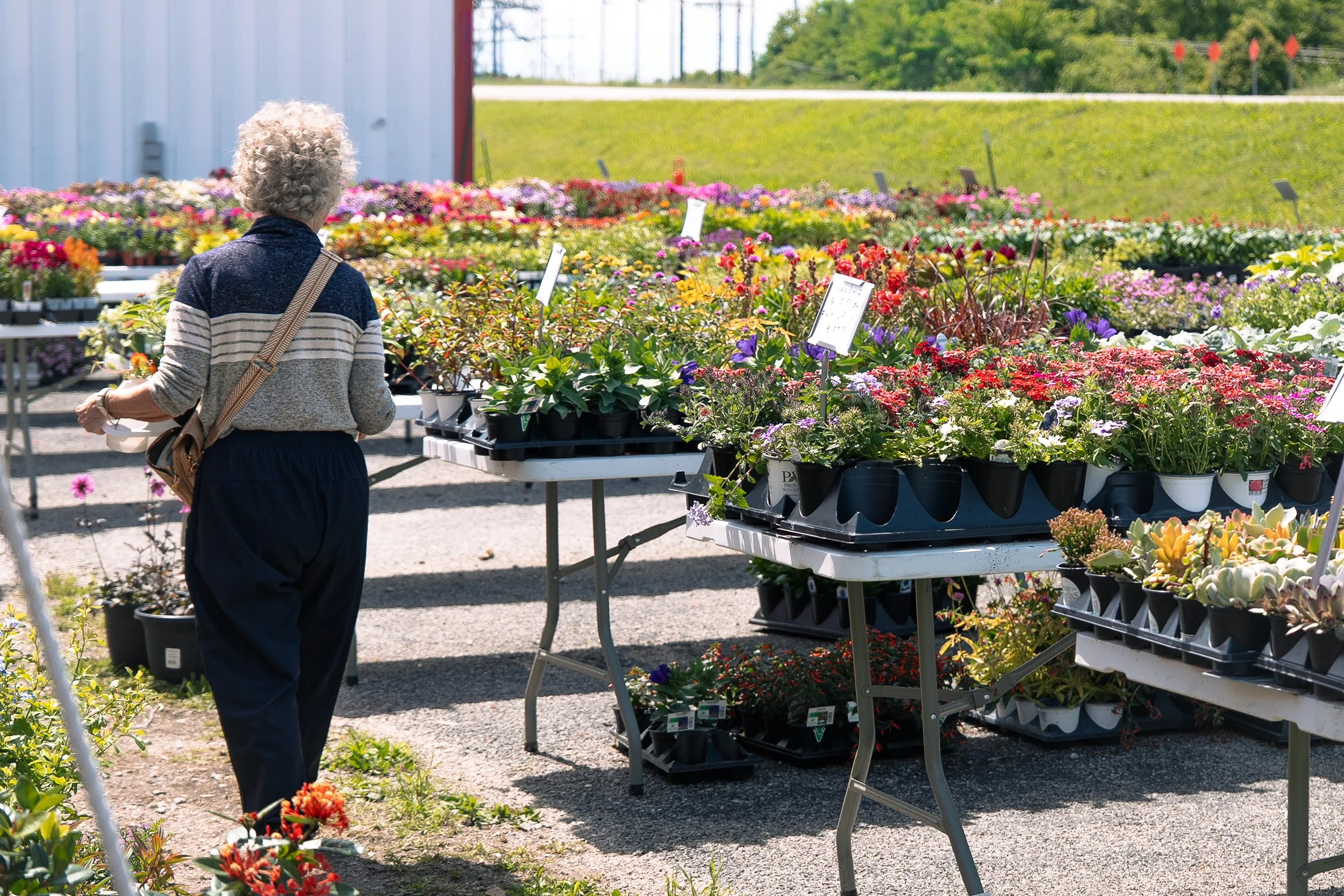 Flower_Market_1.jpg