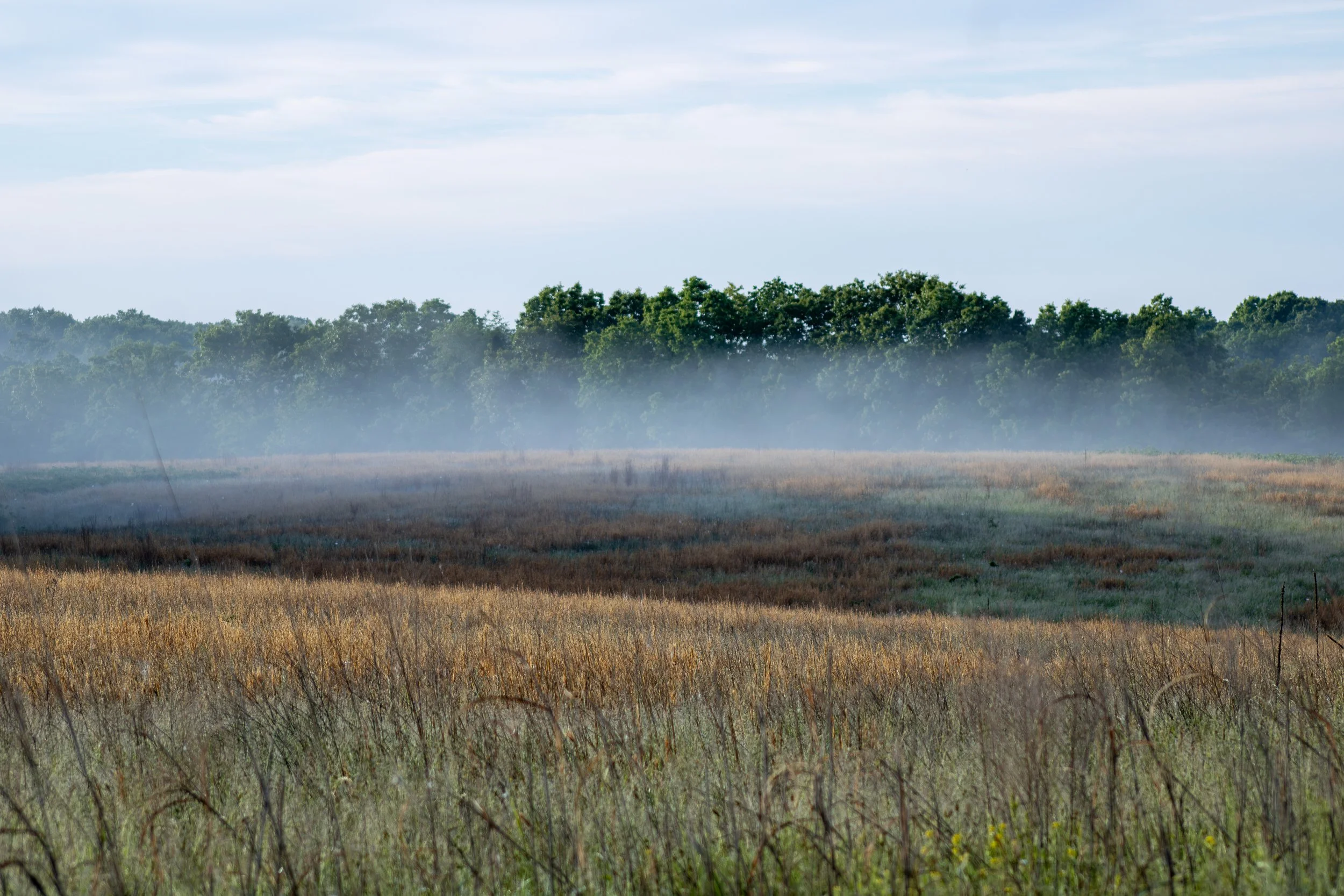 Foggy_Landscape_1.jpg