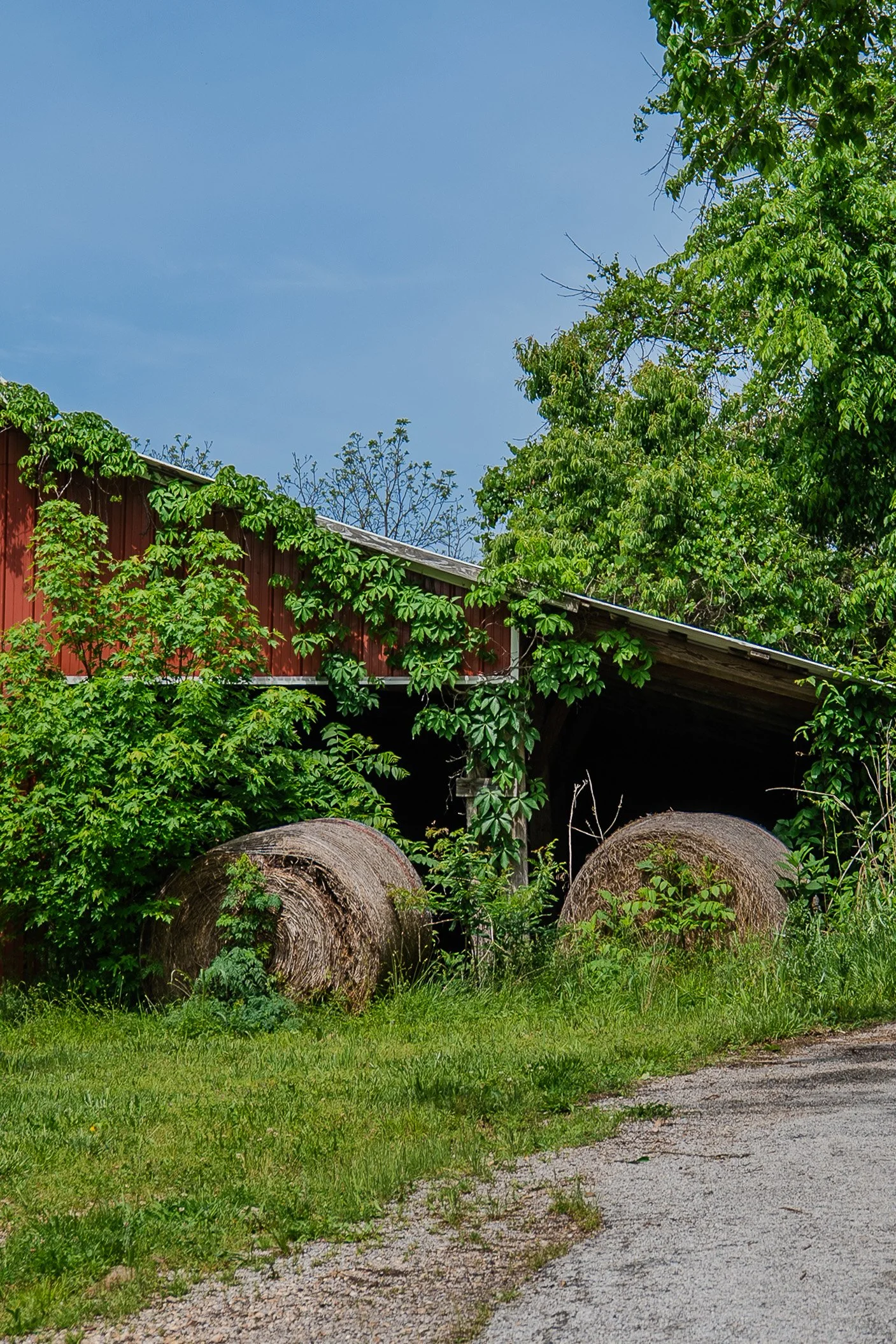 Barn_3.jpg