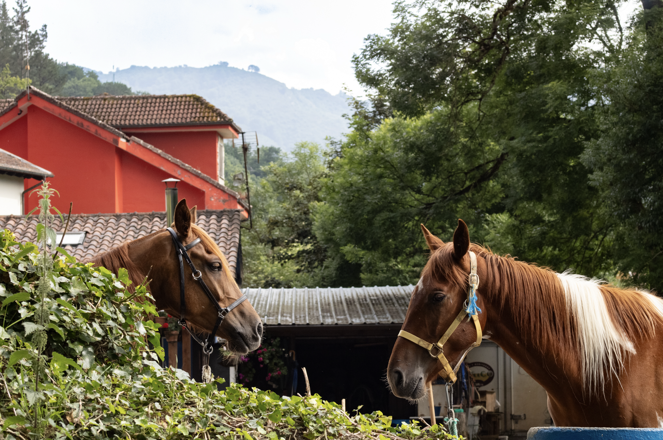 Screenshot 2026-04-10 at 6.46.26 PM.png