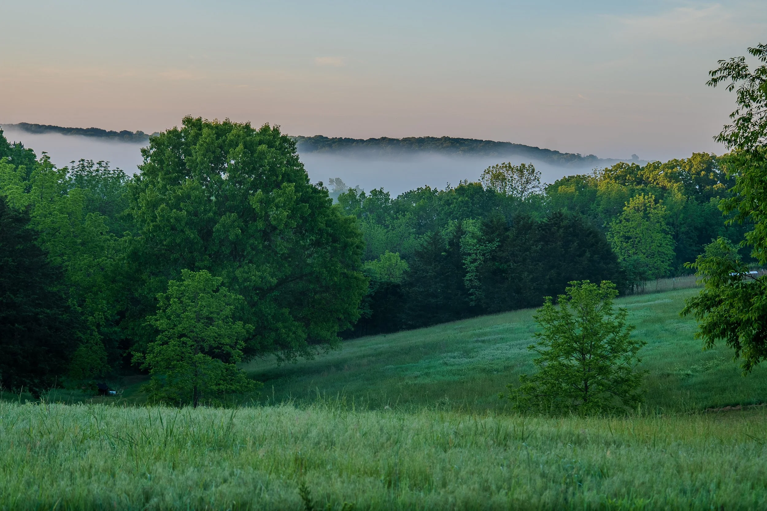 Foggy_Landscape_4.jpg