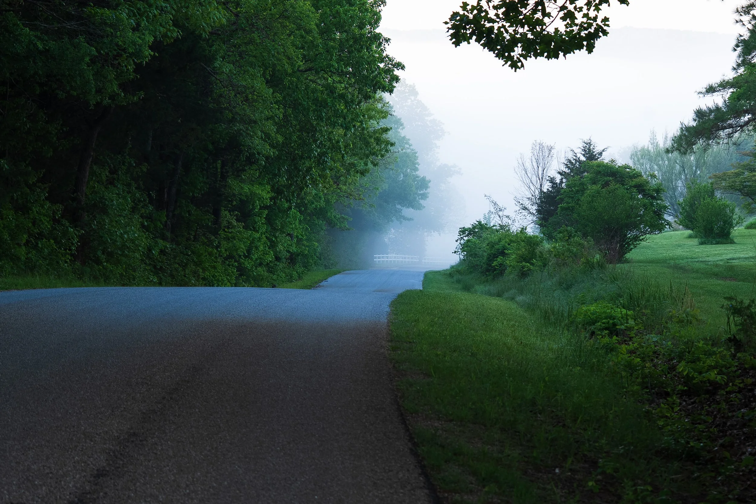 Foggy_Road_1.jpg