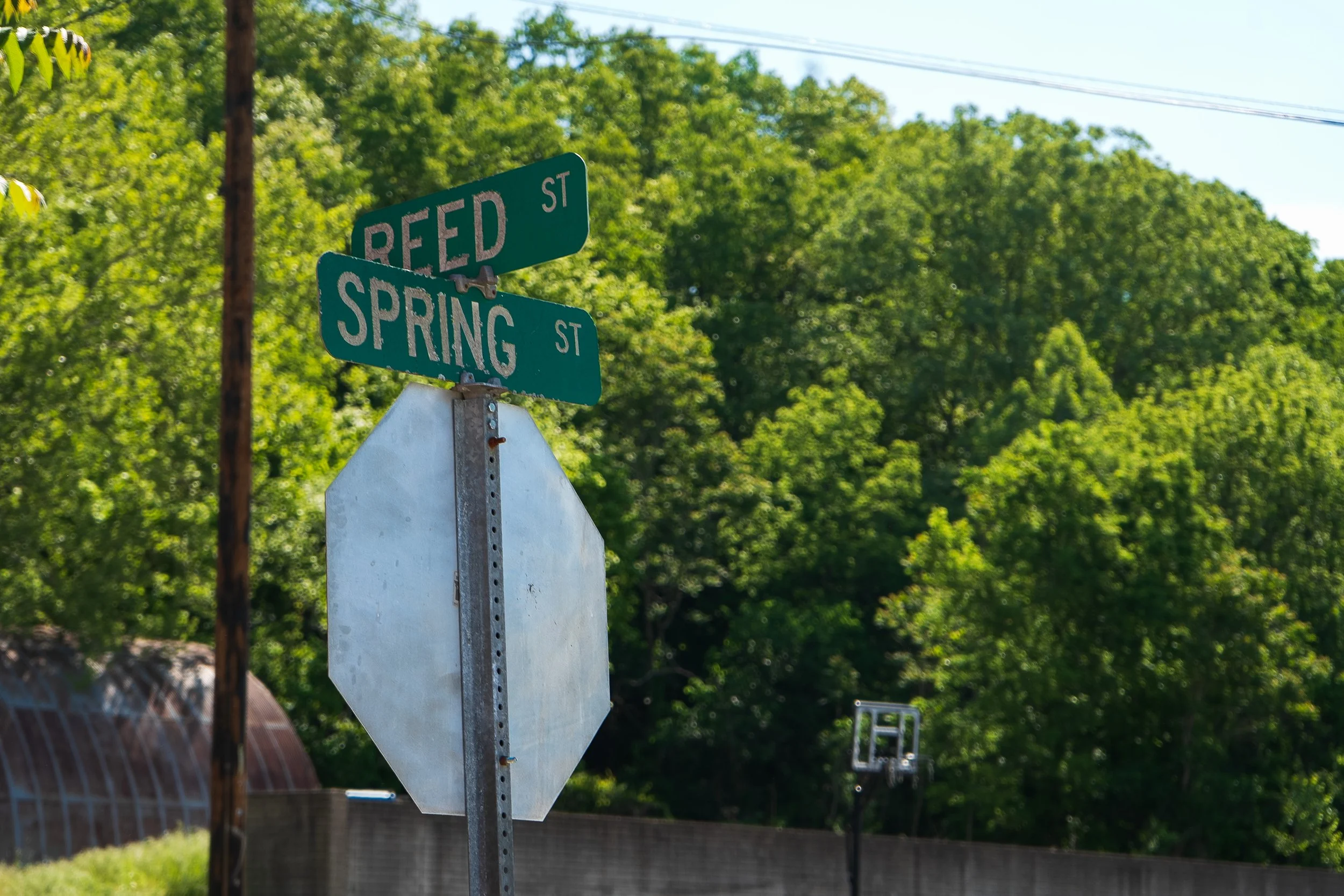 Reed_Spring_Sign_1.jpg