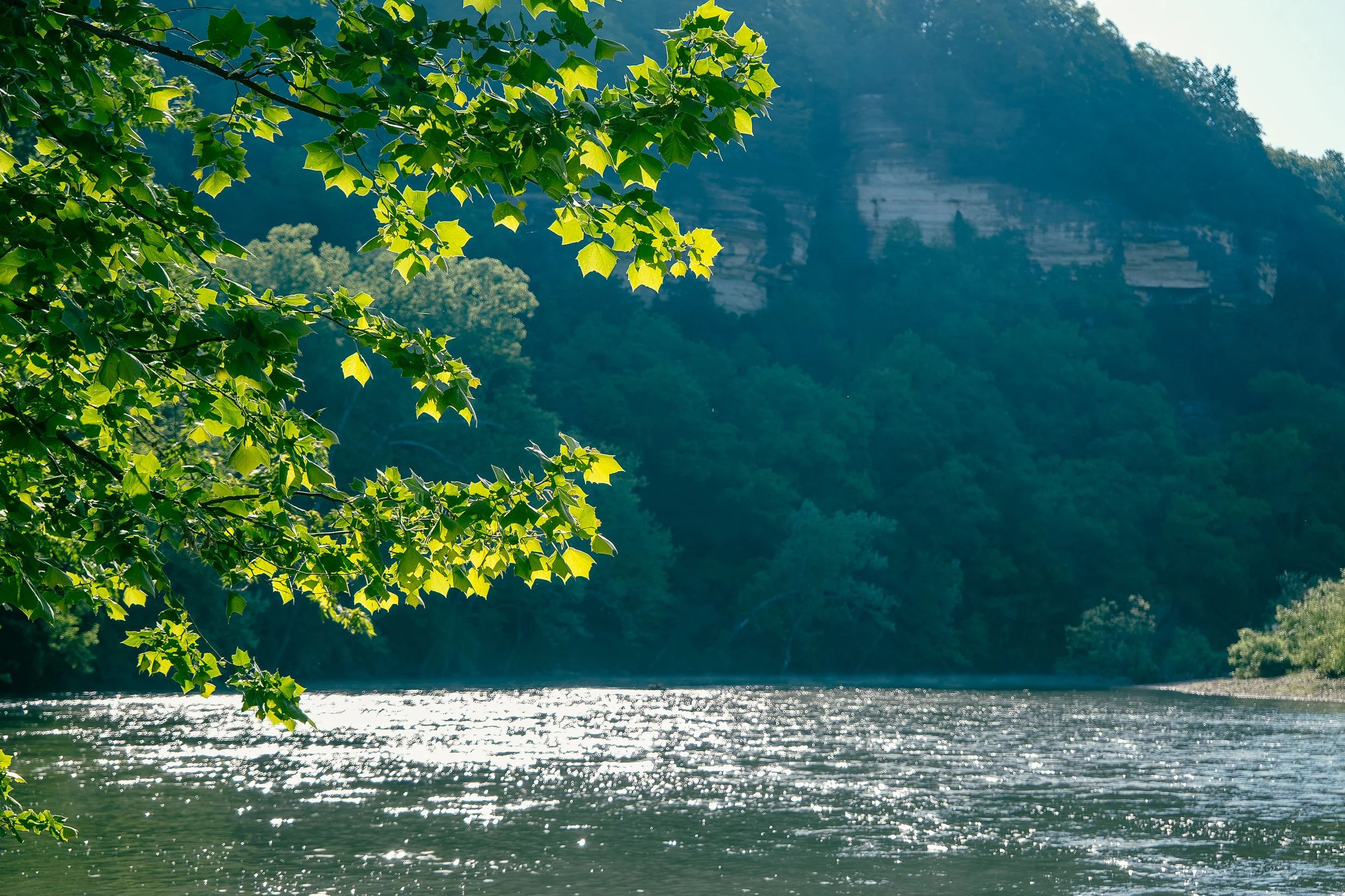 Bluffs_1.jpg