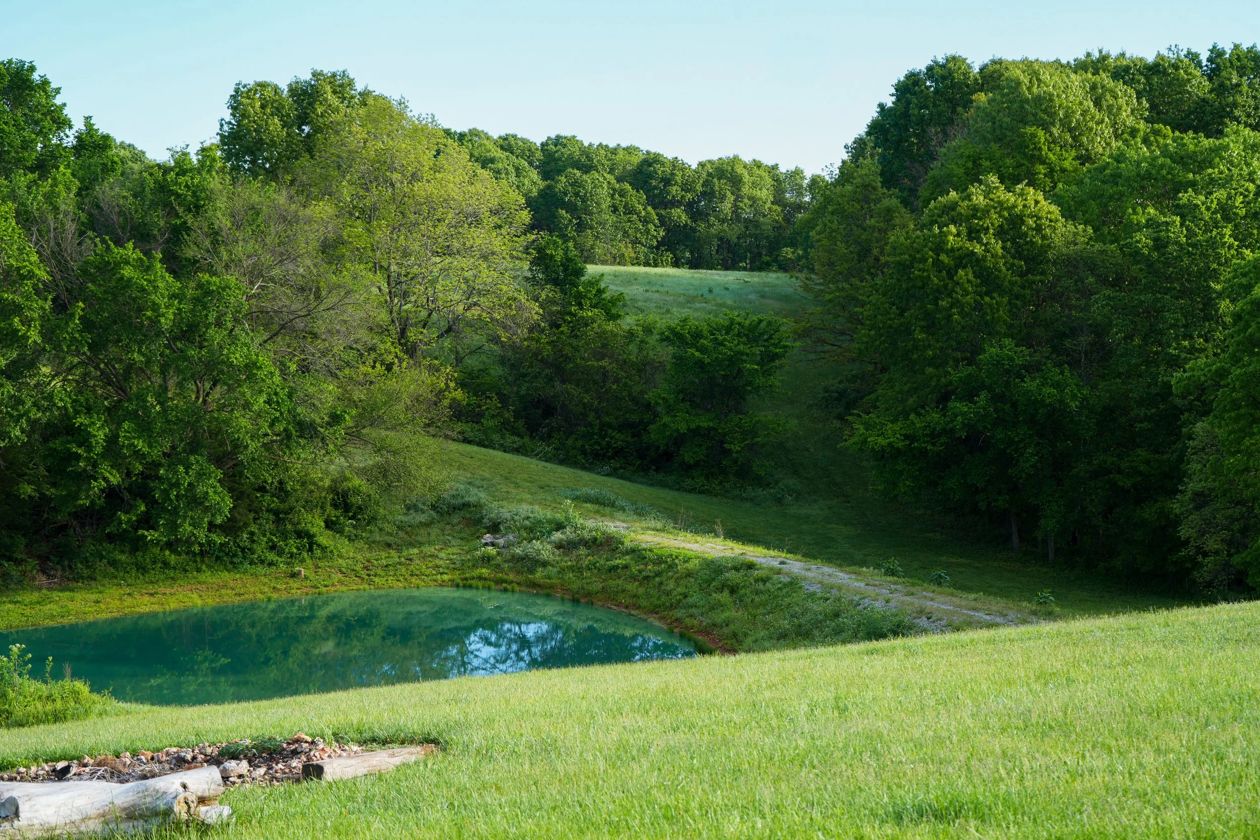 Pond_2.jpg