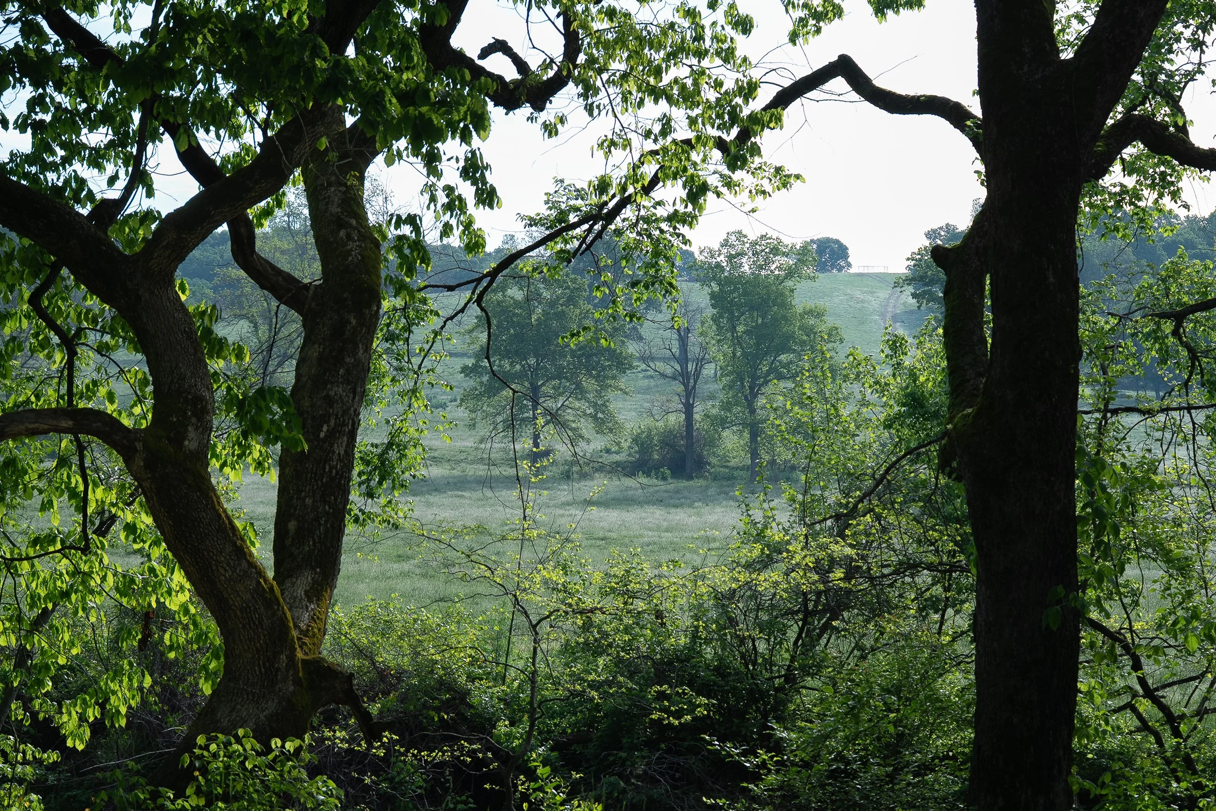 Hurley_Field_1.jpg