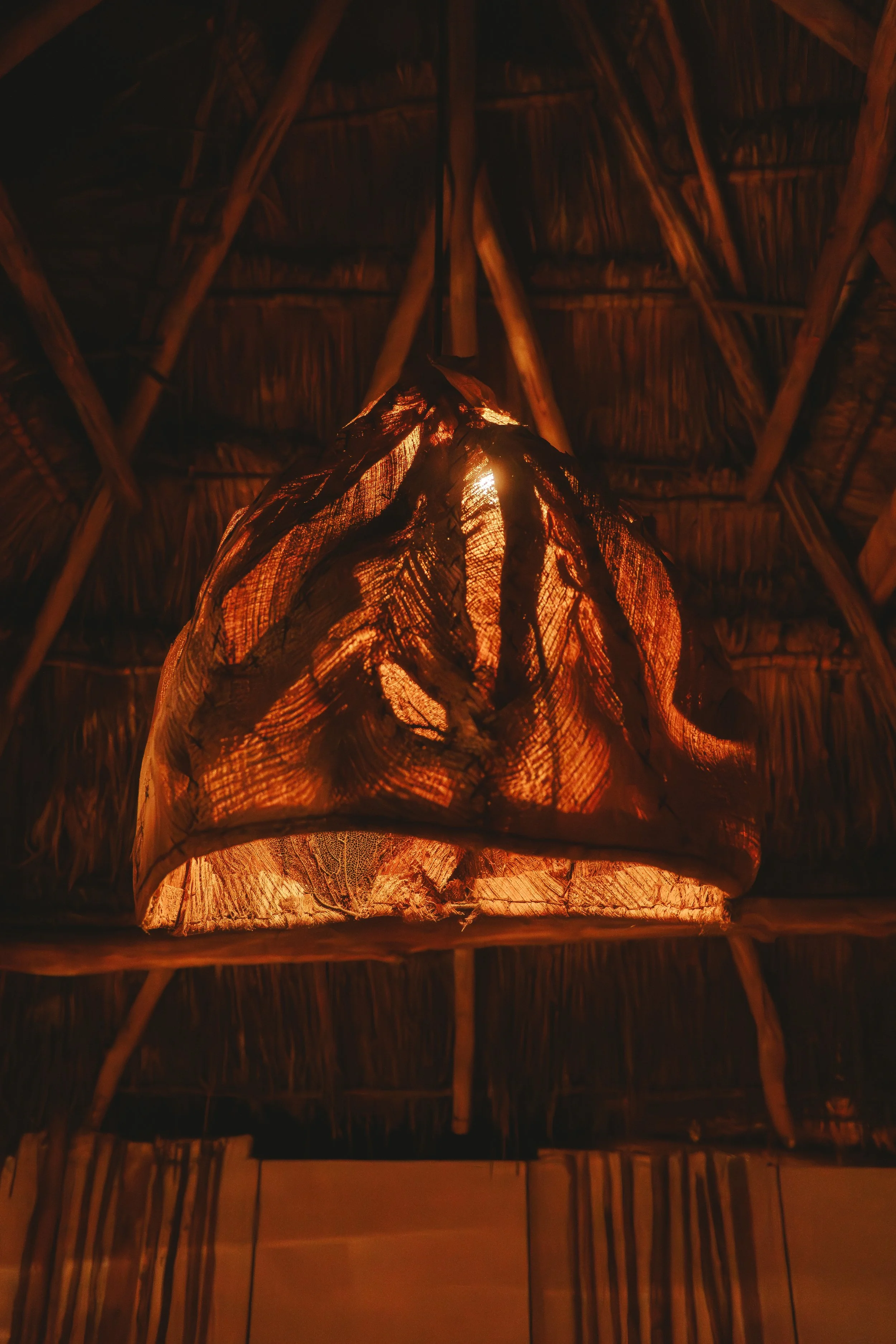 Safari and bell tents outdoor night.jpg