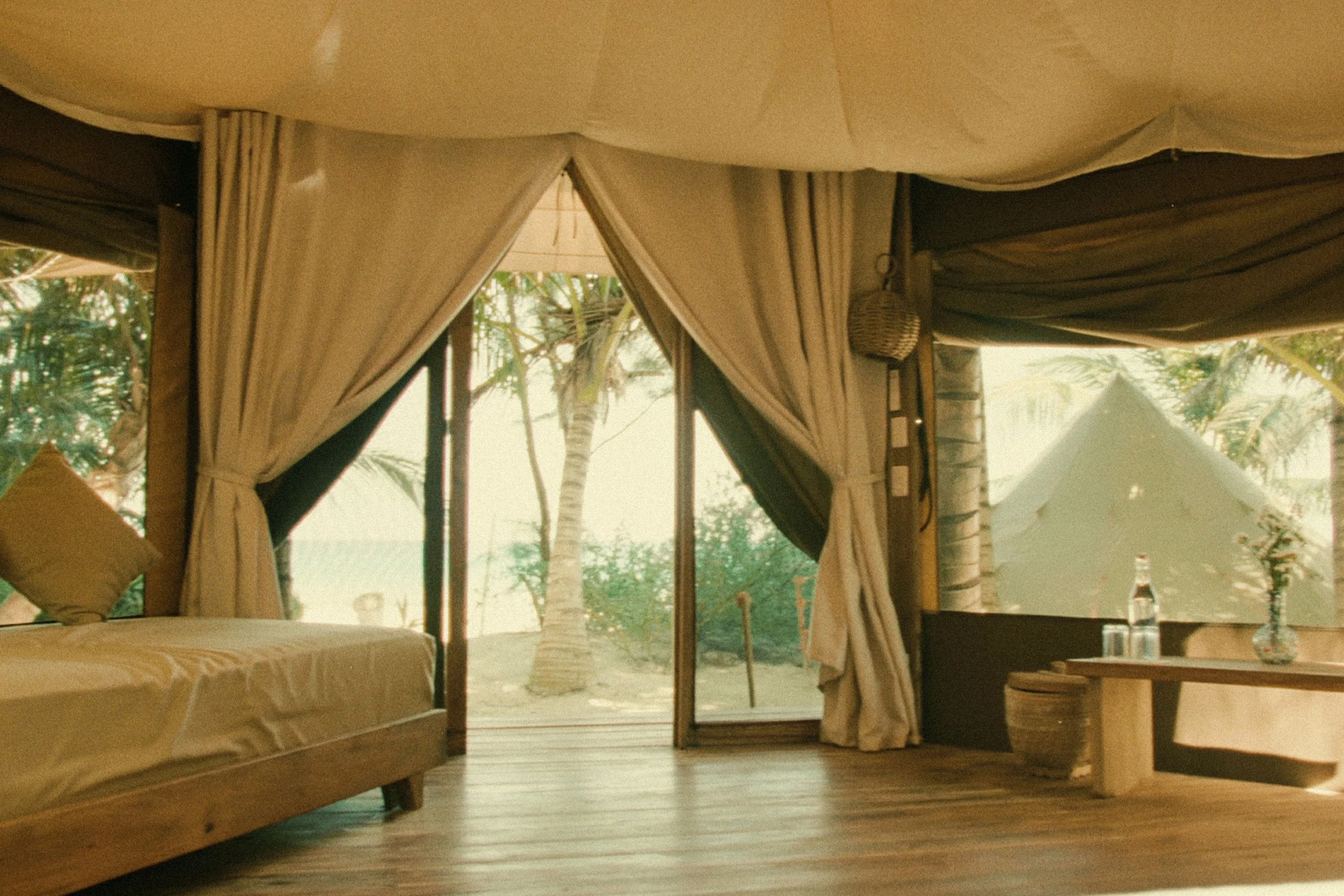 Yes Safari Single Large.png