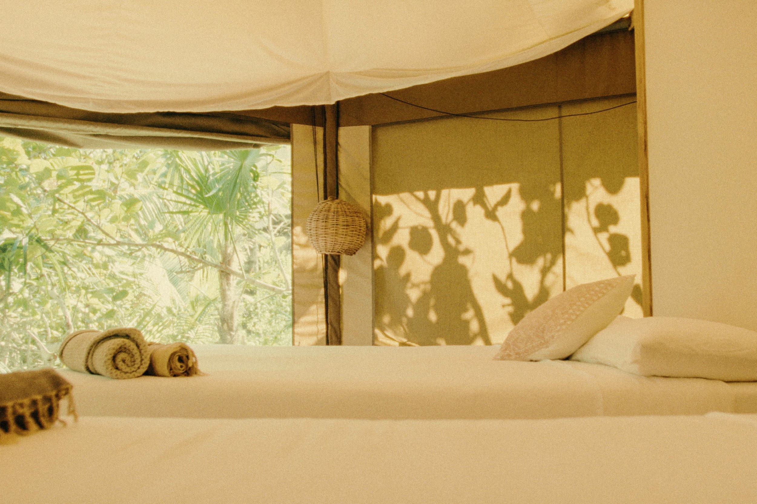 Safari Tent Shared (w private bathroom)