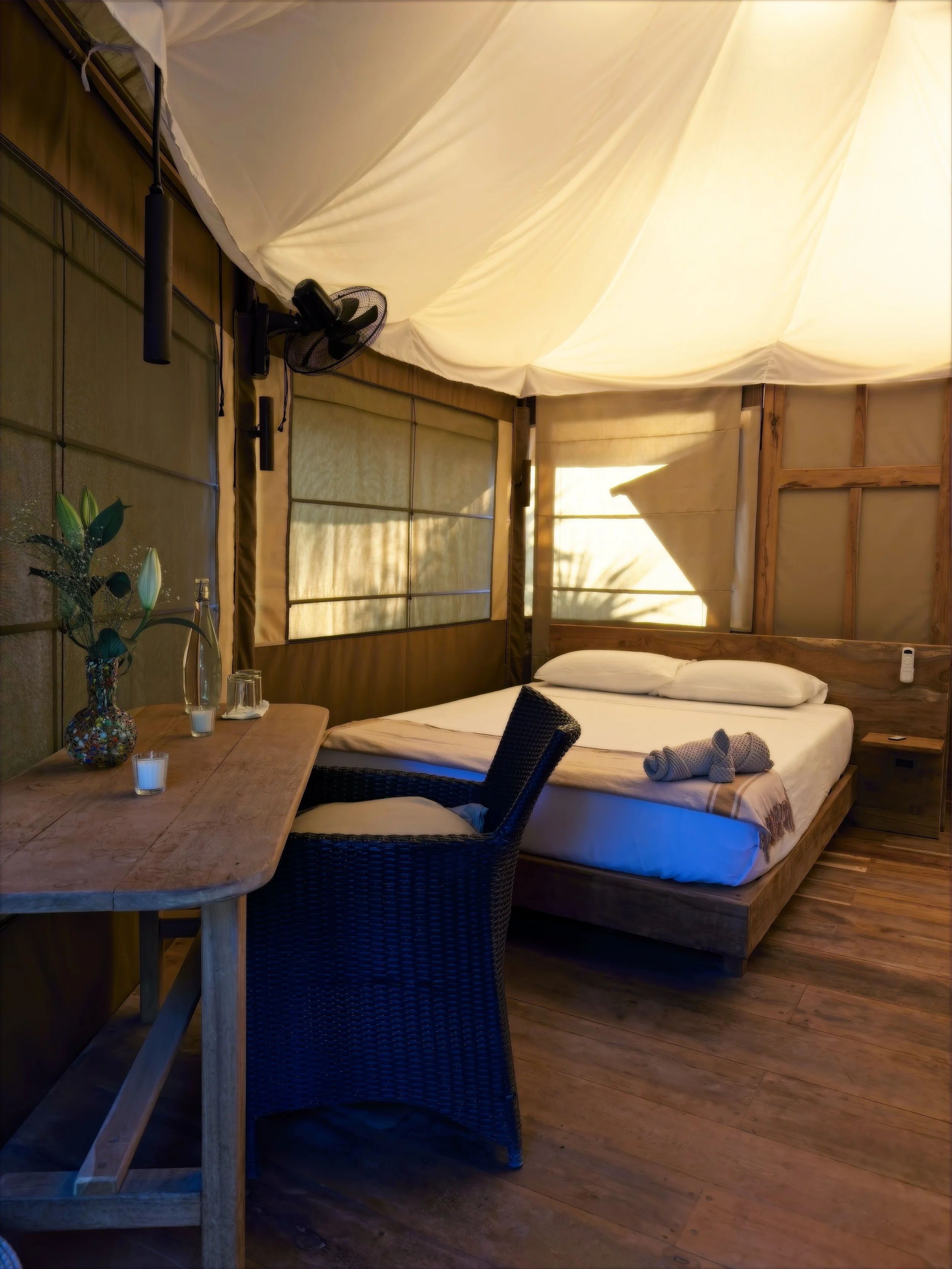 IMG_0366 copy_Export.jpg