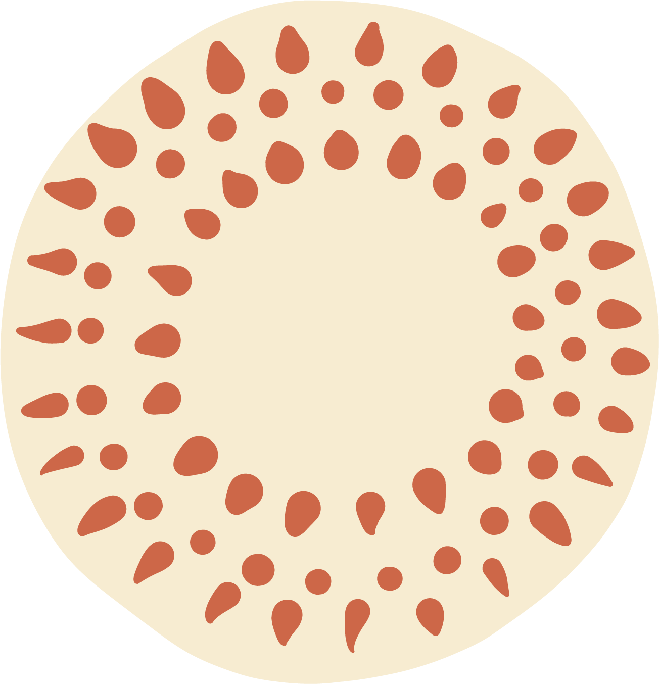 A beige-colored ring with scattered brown teardrop-shaped and circular spots.