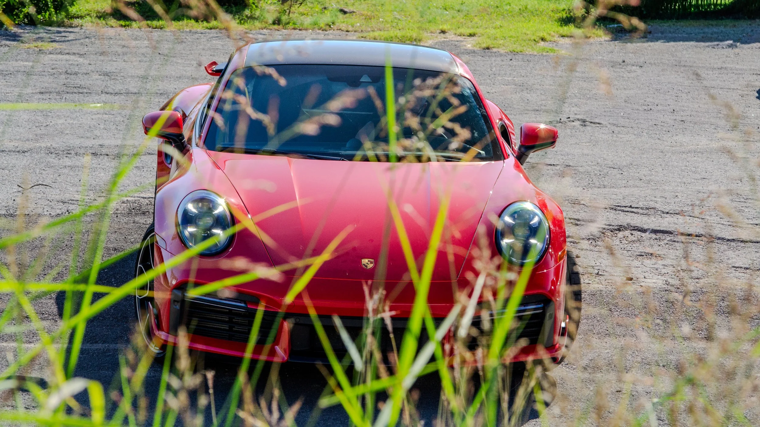 DSC_0974.jpg