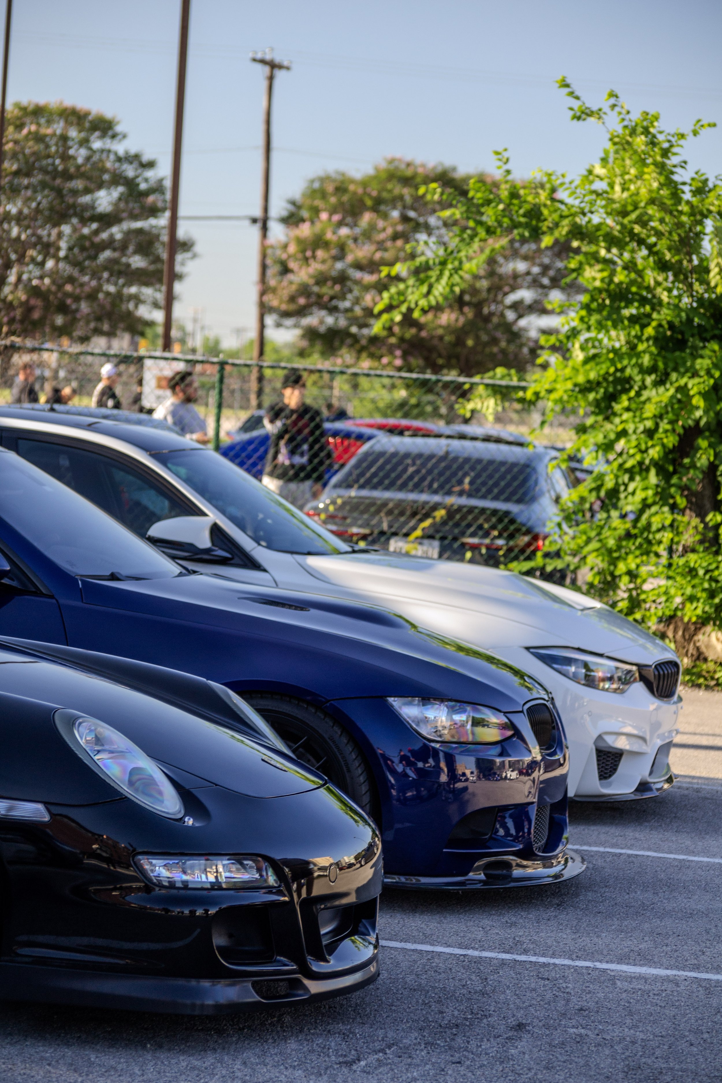 11-DSC_0342.jpg